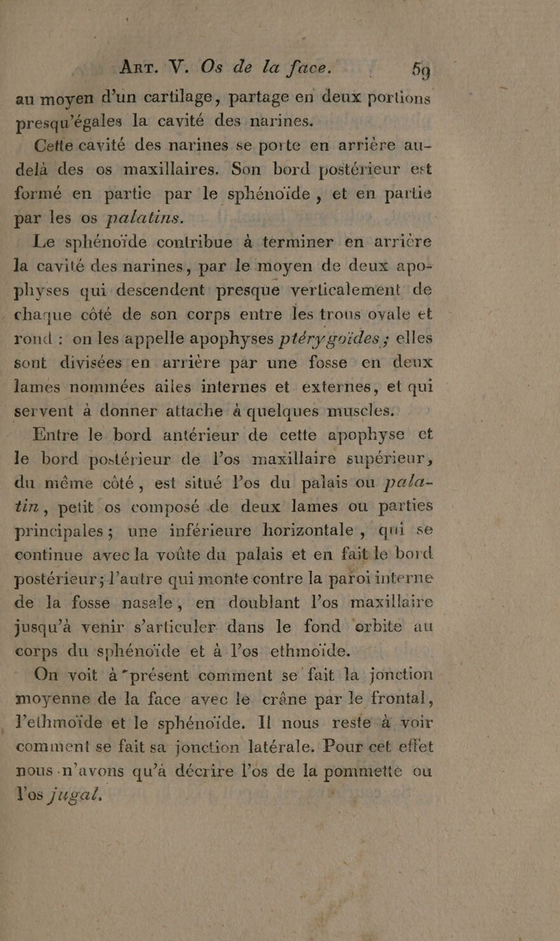 au moyen d’un cartilage, partage en deux portions presqu'égales la cavité des narines. Cette cavité des narines se porte en arrière au- delà des os maxillaires. Son bord postérieur est formé en partie par le sphénoïde , et en partie par les os palatins. ; Le sphénoïde contribue à terminer en arricre la cavité des narines, par le moyen de deux apo- physes qui descendent presque verticalement de . chaque côté de son corps entre les trous ovale et rond : on les appelle apophyses ptéry goides ; elles sont divisées'en arrière par une fosse en deux lames nommées ailes internes et externes, et qui servent à donner attache à quelques muscles. Entre le bord antérieur de cette apophyse et le bord postérieur de l’os maxillaire supérieur, du même côté, est situé los du palais ou pala- tin, petit os composé de deux lames où parties principales ; une inférieure horizontale, qui se continue avec la voûte du palais et en fait le bord postérieur; l’autre qui monte contre la paroïinterne de la fosse nasale, en doublant Vos maxillaire jusqu’à venir s’articuler dans le fond orbite au corps du sphénoïde et à los ethmoïde. On voit à présent comment se fait la jonction moyenne de la face avec le crâêne par le frontal, l’ethmoïde et le sphénoïde. Il nous reste à voir comment se fait sa jonction latérale. Pour cet effet nous .n’avons qu’à décrire l’os de la pommette ou Vos jugal,