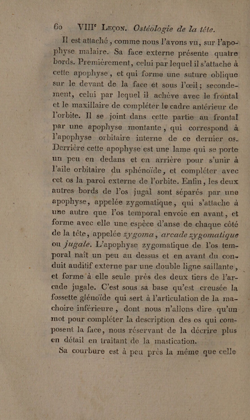 FL est attaché , comme nous l’avons vu, sur l’apo- physe malaire. Sa face externe présente quatre bords. Premièrement, celui par lequel il s’attache à cette apophyse, et qui forme une suture oblique sur le devant de la face ét sous l'œil ; seconde- ment, celui par lequel il achève avec le frontal _etle maxillaire de compléter le cadre antérieur de l'orbite. Il se joint dans cette partie au frontal par une apophyse montante, qui correspond à l’apophyse orbitaire interne de ce dernier os. Derrière cette apophyse est une lame qui se porte un peu en dedans et en arrière pour s'unir à l'aile orbitaire du sphénoïde, et compléter avec cet os la paroi externe de l'orbite. Enfin, les deux autres bords de los jugal sont séparés par une apophyse, appelée zygomatique, qui s'attache à une autre que l’os temporal envoie en avant, et forme avec elle une espèce d’anse de chaque côté de la tête, appelée zygoma, arcade zygomalique ou Jugale. L’apophyse zygomatique de los tem- poral naît un peu au dessus et en avant du con- duit auditif externe par une double ligne saillante, et forme à elle seule près des deux tiers de l’ar- cade jugale. C’est sous sa base qu’est creusée la fossette glénoïde qui sert à l'articulation de la ma- choire inférieure , dont nous n’allons dire qu’un mot pour compléter la description des os qui com- posent la face, nous réservant de la décrire plus en détail en traïtant de la mastication. Sa courbure est à peu près la même que celle