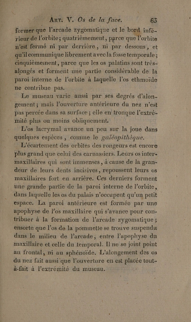 former que l’arcade zygomatique et le bord infé- rieur de l'orbite; quatriémement, parce que l'orbite n’est fermé ni par derrière, ni par dessous, et qu'il communique librement avec la fosse temporale ; cinquièmement, parce que les os palatins sont très- alongés et forment une partie considérable de la paroi interne de l'orbite à laquelle l’os ethmoïde ne contribue pas. Le museau varie aussi par ses degrés d’alon- _gement; mais l'ouverture antérieure du nez n’est pas percée dans sa surface ; elle en tronque l’extré- mité plus où moins obliquement. Eos lacrymal avance un peu sur la joue dans quelques espèces , comme le ga/éopithèque. . L'écartement des orbites des rongeurs est encore plus grand que celui des carnassiers. Leurs os inter maxillaires qui sont immenses , à cause de la gran- deur de leurs dents incisives, repoussent leurs os maxillaires fort en arrière. Ces derniers forment une grande partie de la paroi interne de l’orbite, dans laquelle les os du palais n’occupent qu’un petit espace. La paroi antérieure est formée par une apophyse de l’os maxillaire qui s’avance pour con- tribuer à la formation de l’arcade zygomatique ; ensorte que l’os de la pommetie se trouve suspendu dans le milieu de l’arcade, entre l’apophyse du maxillaire et celle du temporal. Il ne se joint point au frontal, ni au sphénoïde. L/alongement des os du nez fait aussi que l’ouverture en est placée tout- a-fait à l'extrémité du museau. !