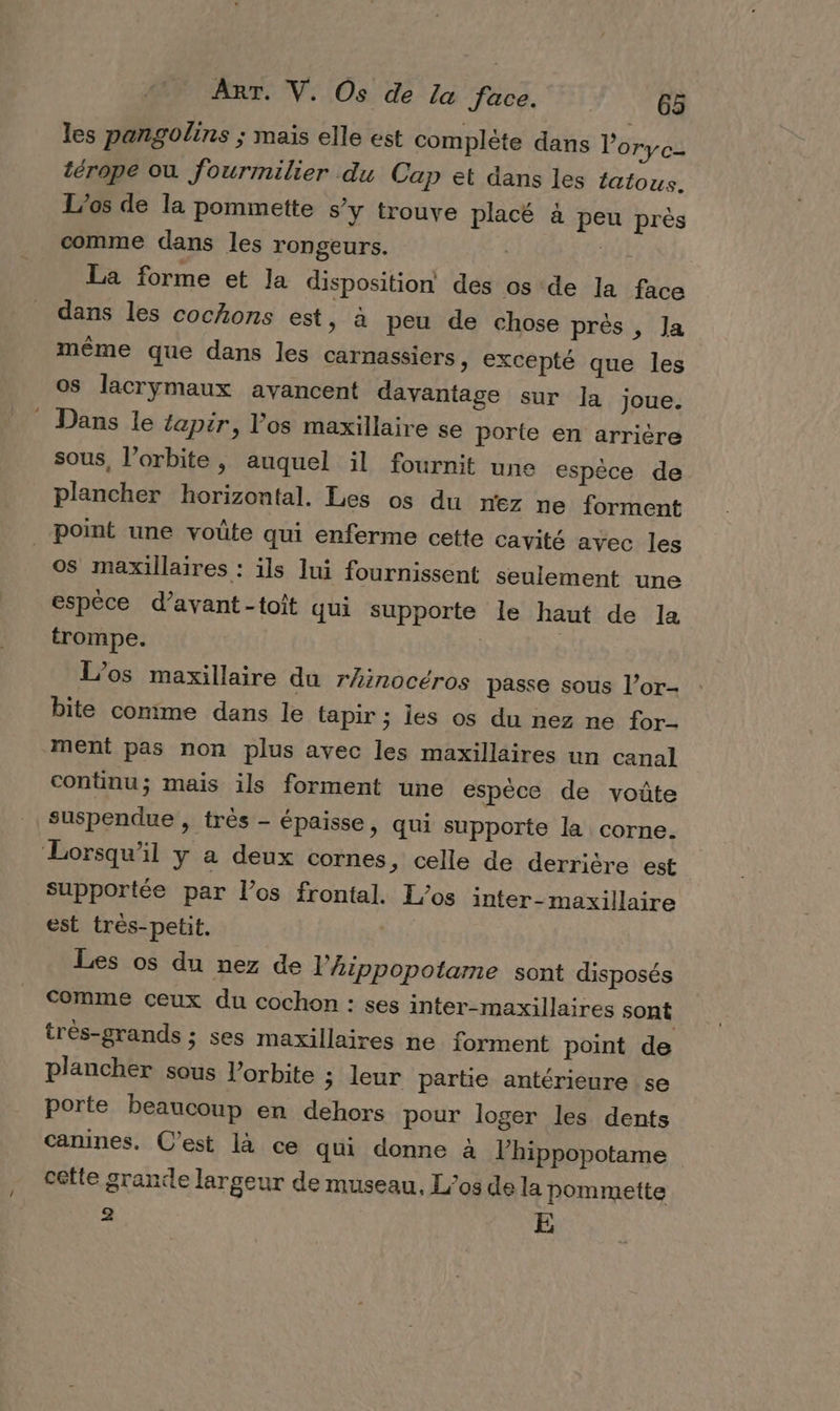 les pangolins ; mais elle est complète dans loryc- térope où fourmilier du Cap et dans les latous. L’os de la pommette s’y trouve placé à peu près comme dans les rongeurs. | yE La forme et Ja disposition des os de la face dans les cochons est, à peu de chose près, Ja même que dans les carnassiers, excepté que les os lacrymaux avancent davantage sur la joue. Dans le tapir, los maxillaire se porte en arrière sous, l'orbite, auquel il fournit une espèce de plancher horizontal. Les os du nez ne forment point une voûte qui enferme cette cavité avec les 0$ maxillaires : ils lui fournissent seulement une espèce d’avant-toit qui supporte le haut de la trompe. ; | L’os maxillaire du rAinocéros passe sous l’or- bite comme dans le tapir ; ies os du nez ne for ment pas non plus avec les maxillaires un canal continu; mais ils forment une espèce de voûte suspendue » très - épaisse, qui supporte la corne. ‘Lorsqu'il y a deux cornes » celle de derrière est supportée par los frontal. L/os inter-maxillaire est très-petit. Les os du nez de l’Aippopotame sont disposés Comme ceux du cochon : ses inter-maxillaires sont très-grands ; ses maxillaires ne forment point de plancher sous l'orbite ; leur partie antérieure se porte beaucoup en dehors pour loger les dents canines. C’est là ce qui donne à l’hippopotame cette grande largeur de museau, Los de la pommette 2 E