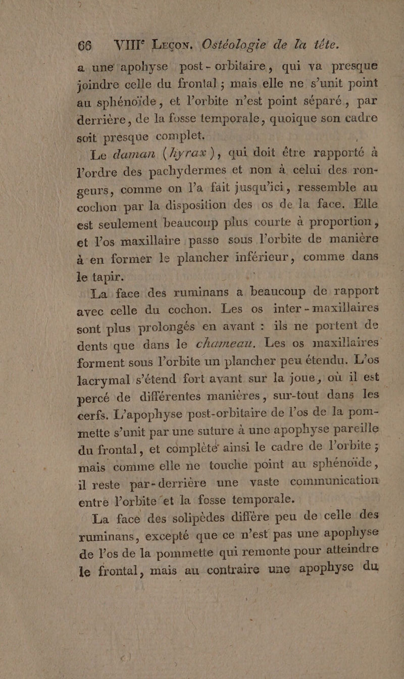 a. une ‘apohyse post - orbitaire, qui va presque joindre celle du frontal ; mais elle ne s’unit point au sphénoïde, et l'orbite n ’est point séparé, par derrière, de la fosse temporale, quoique son cadre soit presque complet. Le daman (liyrax), qui doit être SRE à l’ordre des pachydermes et non à celui des ron- geurs, comme on l’a fait jusqu'ici, ressemble au cochon par la disposition des os de la face. Elle est seulement beaucoup plus courte à proportion, et l'os maxillaire passe sous l'orbite de manière à en former le plancher inférieur, comme dans le tapir. La face des ruminans à beaucoup de rapport avec celle du cochon. Les os inter - maxillaires sont plus prolongés en avant : ils ne portent de forment sous l’orbite un plancher peu étendu. L'os percé de différentes manières, sur-tout dans les cerfs. L’apophyse post- orbitaire de l’os de la pom- mette s’unit par une suture à une apophyse pareille du frontal, et complète ainsi le cadre de l'orbite ; mais comume elle ne touche point au sphénoïde, entre l’orbite et la fosse temporale. La face des solipèdes diffère peu de celle des ruminans, excepté que ce n’est pas une apophyse de l'os de la pommette qui remonte pour atteindre le frontal, mais au contraire ue apophyse du