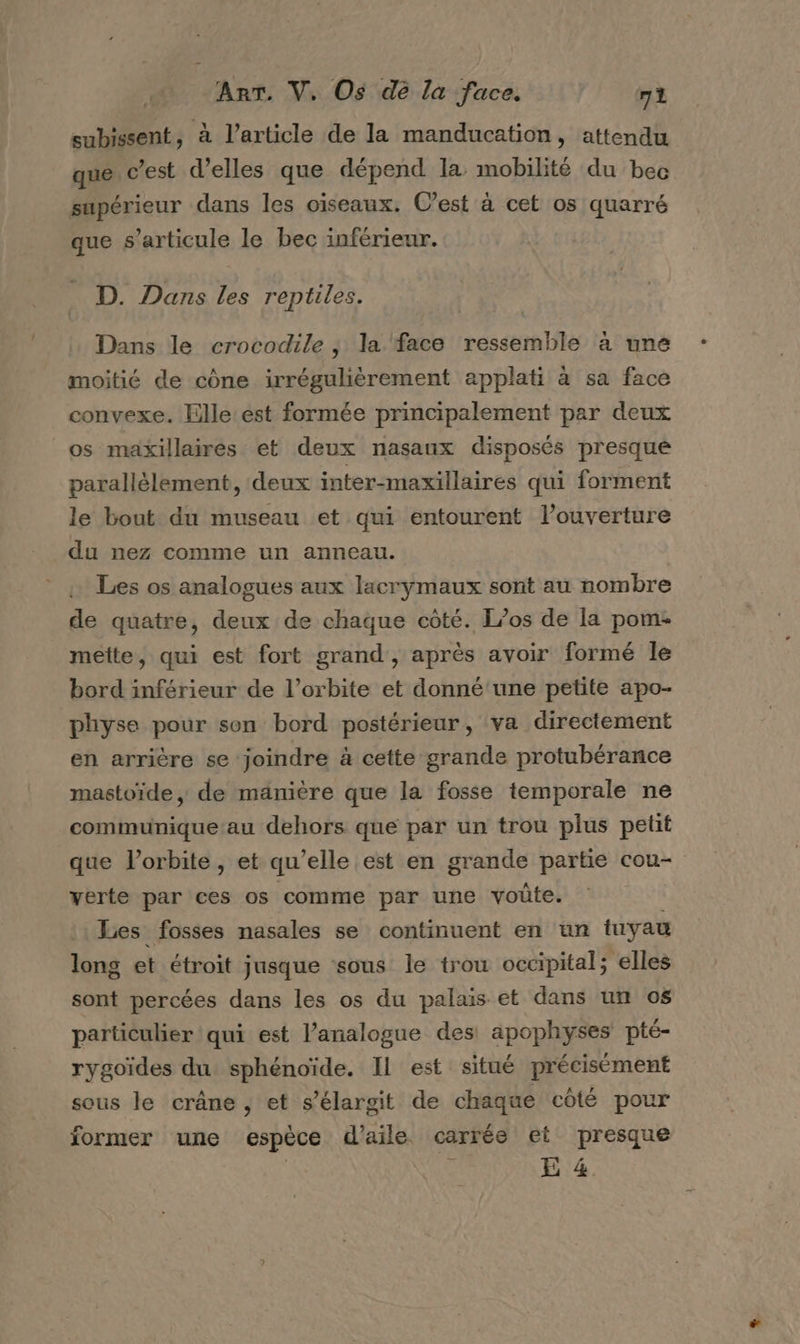 subissent, à l’article de la manducation, attendu que c’est d'elles que dépend la mobilité du bec supérieur dans les oiseaux. C’est à cet os quarré que s'articule le bec inférieur. D. Dans les reptiles. Dans le crocodile ; la face ressemble à une moitié de cône irrégulièrement applati à sa face convexe. Elle est formée principalement par deux os maxillairés et deux nasaux disposés presqué parallèlement, deux inter-maxillaires qui forment le bout du museau et qui entourent l’ouverture du nez comme un anneau. Les os analogues aux lacrymaux sont au nombre de quatre, deux de chaque côté. I/0os de la pom: mette, qui est fort grand, après avoir formé le bord inférieur de l’orbite et donné'une petite apo- physe pour son bord postérieur, ‘va directement en arrière se joindre à cette grande protubérance mastoïde ,; de manière que la fosse temporale ne communique au dehors que par un trou plus petit que l'orbite, et qu’elle est en grande partie cou- verte par ces os comme par une voûte. Les fosses nasales se continuent en un tuyau long et étroit jusque ‘sous le trou occipital; elles sont percées dans les os du palais et dans un os particulier qui est l’analogue des apophyses pté- rygoïdes du sphénoïde. IL est situé précisément sous le crâne, et s’élargit de chaque côté pour former une espèce d'aile carrée et presque | Ç E 4