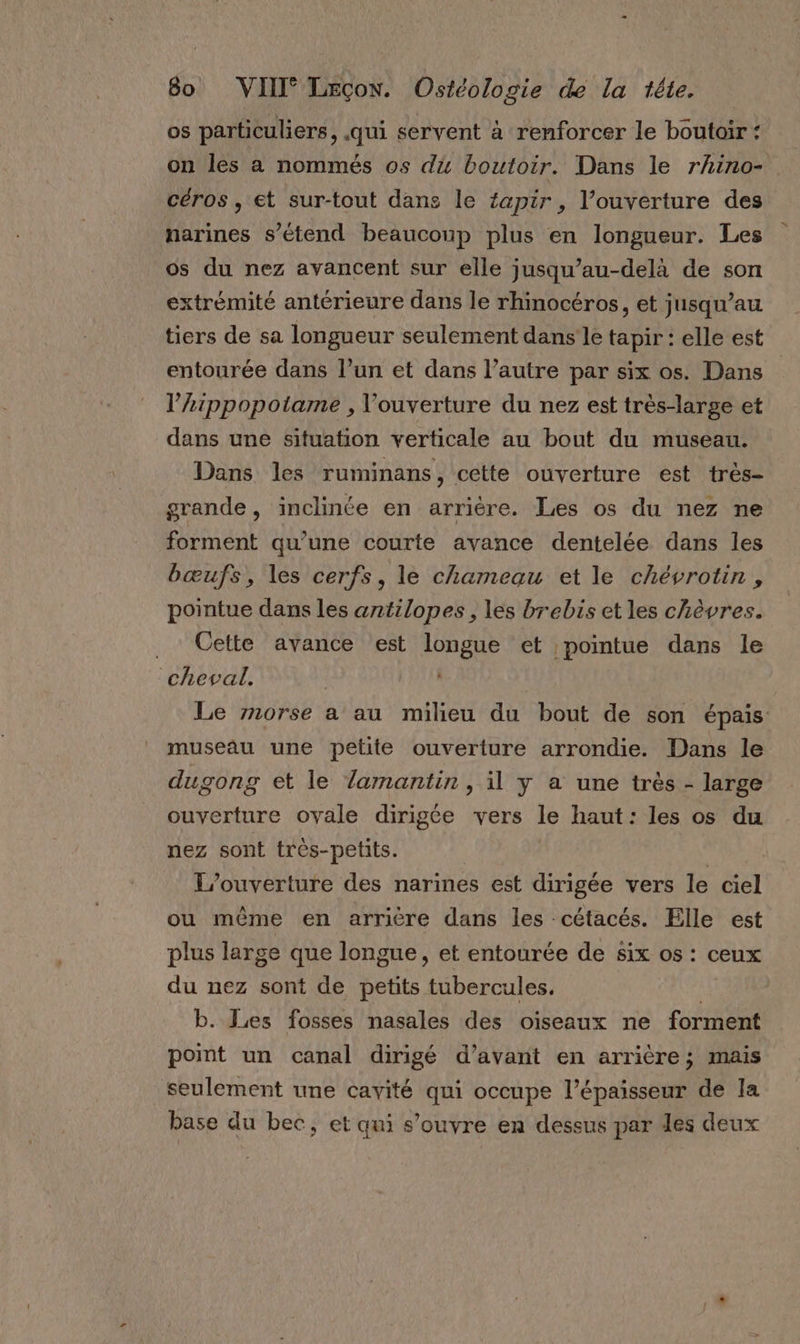 os particuliers, qui servent à renforcer le boutoir ‘ on les a nommés os du boutoir. Dans le rhino- céros , et sur-tout dans le fapir , l’ouverture des narines s'étend beauconp plus en longueur. Les os du nez avancent sur elle jusqu’au-delà de son extrémité antérieure dans le rhinocéros, et jusqu’au tiers de sa longueur seulement dans le tapir : elle est entourée dans l’un et dans l’autre par six os. Dans l’tppopotame , l'ouverture du nez est très-large et dans une situation verticale au bout du museau. Dans les TumINnans , cette ouverture est trés- grande, inclinée en arrière. Les os du nez ne forment qu’une courte avance dentelée dans les bœufs, les cerfs, le chameau et le chévrotin , pointue dans les antilopes , les brebis et les chèvres. . Cette avance est longue et pointue dans le cheval. Le morse a au milieu du bout de son épais: museau une petite ouverture arrondie. Dans le dugong et le amantin, il y a une très - large ouverture ovale dirigée vers le haut: les os du nez sont très-petits. | | L'ouverture des narines est dirigée vers le ciel ou mème en arrière dans les -cétacés. Elle est plus large que longue, et entourée de six os : ceux du nez sont de petits tubercules. | b. Les fosses nasales des oiseaux ne forment pomt un canal dirigé d’avant en arrière; mais seulement une cavité qui occupe l’épaisseur de la base du bec, et qui s'ouvre en dessus par les deux