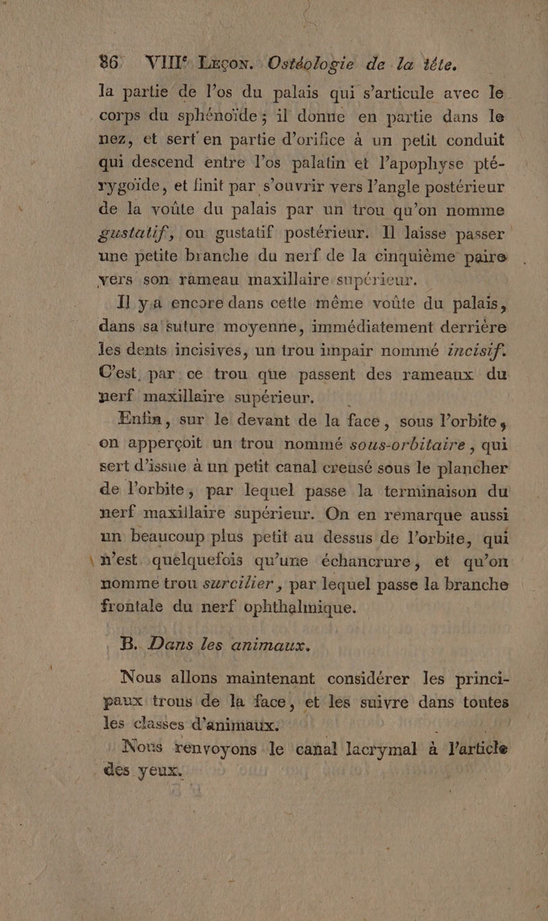 la partie de l’os du palais qui s'articule avec le corps du sphénoïde ; il donne en partie dans le nez, et sert en partie d’orifice à un petit conduit qui descend entre l’os palatin et l’apophyse pté- rygoïde, et finit par s'ouvrir vers l’angle postérieur de la voûte du palais par un trou qu’on nomme gustatif, où gustatif postérieur. Il laïsse passer une petite branche du nerf de la cinquième paire vers son rameau maxillaire supcrieur. | Il ya encore dans cette même voûte du palais, dans sa'sulure moyenne, immédiatement derrière les dents incisives, un trou inpair nommé 2720is1f. C’est, par ce trou que passent des rameaux du nerf maxillaire supérieur. Enim, sur le devant de la face, sous l'orbite, on apperçoit un trou nommé sous-orbitaire , qui sert d’issue à un petit canal creusé sous le plancher de l'orbite, par lequel passe la terminaison du nerf maxillaire supérieur. On en remarque aussi un beaucoup plus petit au dessus de l'orbite, qui \ n’est quelquefois qu’une échancrure, et qu’on nomme trou surcilier, par lequel passe la branche frontale du nerf ophthalmique. . B. Dans les animaux. Nous allons maintenant considérer les princi- paux trous de la face, et les suivre dans toutes les classes d'animaux. À a Novs renyoyons le canal lacrymal à larticle des yeux.