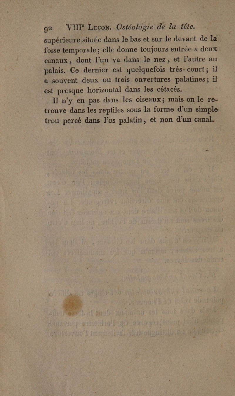 supérieure située dans le bas et sur le devant de la fosse temporale ; elle donne toujours entrée à deux canaux, dont l’un va dans le nez, et l’autre au palais. Ce dernier est quelquefois très- court; il a souvent deux ou treis ouvertures palatines ; il est presque horizontal dans les cétacés. Il n’y en pas dans les oiseaux; mais on le re- trouve dans les reptiles sous la forme d’un simple trou percé dans los palatin, et non d’un canal.