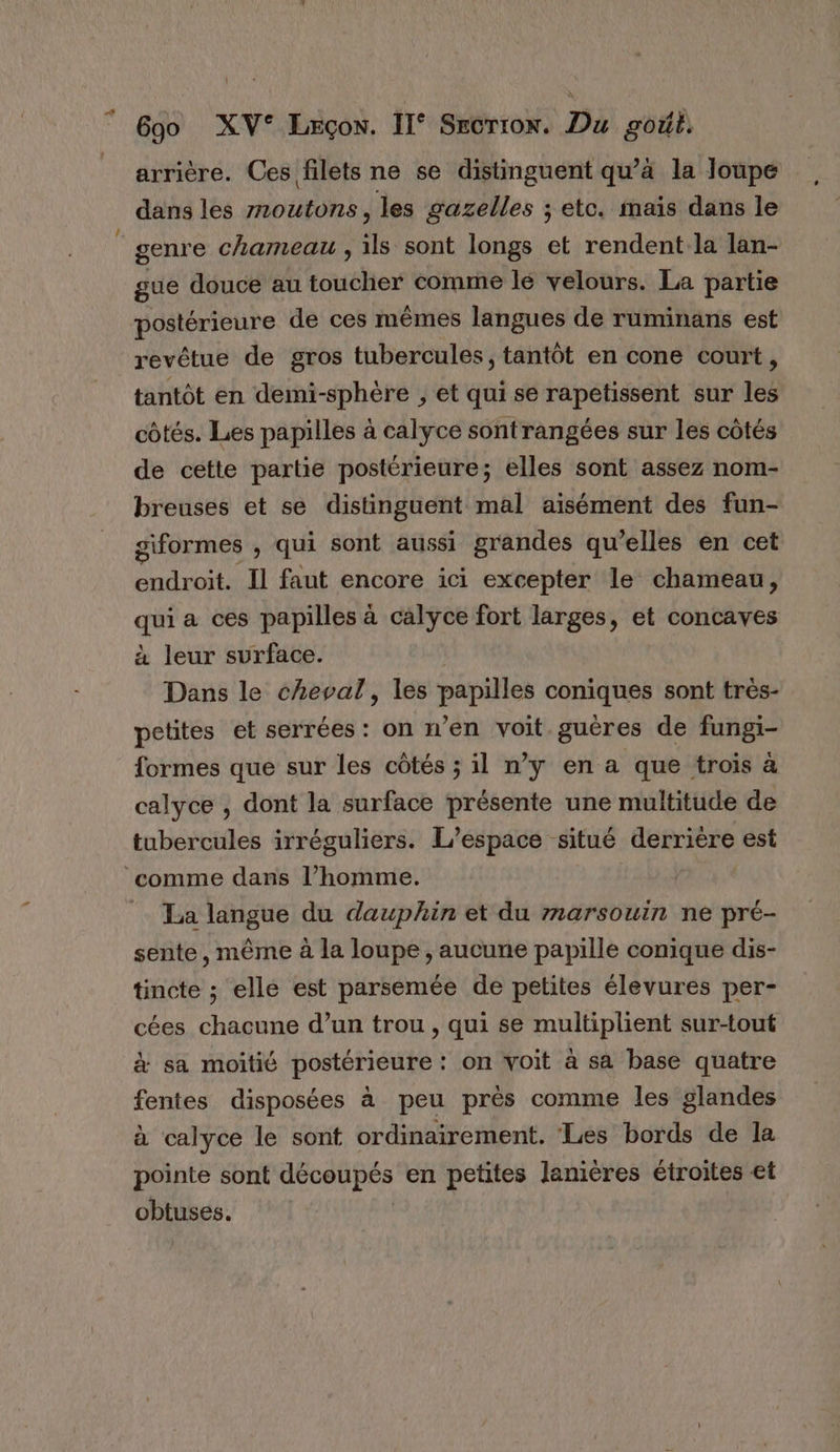 arrière. Ces filets ne se distinguent qu’à la loupe dans les moutons, les gazelles ; ete. mais dans le genre chameau , ils sont longs et rendent la lan- gue douce au toucher comme le velours. La partie postérieure de ces mêmes langues de ruminans est revêtue de gros tubercules, tantôt en cone court, tantôt en demi-sphère , et qui se rapetissent sur les côtés. Les papilles à calyce sontrangées sur les côtés de cette partie postérieure; elles sont assez nom- breuses et se distinguent mal aisément des fun- giformes , qui sont aussi grandes qu ’elles en cet EE por Il faut encore ici excepter le chameau, qui a ces papilles à calyce fort larges, et concaves à leur surface. Dans le cheval, les papilles coniques sont très- petites et serrées : on n’en voit guères de fungi- formes que sur les côtés ; il n’y en a que trois à calyce , dont la surface présente une multitude de tubercules irréguliers. L'espace situé SRE est ‘comme dans l’homme. La langue du dauphin et du marsouin ne pré- sente, même à la loupe , aucune papille conique dis- tincte ; elle est parsemée de petites élevures per- cées chacune d’un trou, qui se multiplient sur-tout &amp; sa moitié postérieure : on voit à sa base quatre fentes disposées à peu près comme les glandes à calyce le sont ordinairement. ‘Les bords de la pointe sont découpés en petites lanières étroites et obtuses.