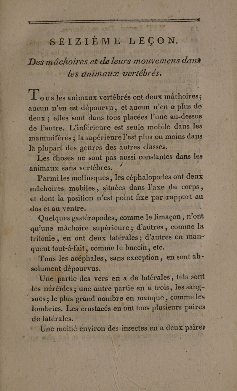 24 e tn . + 1 # - u 4 +. y y SÉIZIÈME LEÇON. Des méchoires et de leurs mouvemens dans les animaux vertébrés. « ee s les animaux vertébrés ont deux mâchoires; aucun n’en est dépourvu, etaucun n’en a plus de deux ; elles sont dans tous placées l’une au-dessus de Pétro. L'inférieure est seule mobile dans les mamimiféres ; la supérieure l est plus ou moins dans la plupart des genres des autres classes. Les choses ne sont pas aussi constantes dans les animaux sans vertèbres. 4 Parmi les mollusques, les céphalopodes ont deux mâchoires mobiles, situées dans l’axe du corps, et dont la position n’est point fixe par-rapport au dos et au ventre. Quelques gastéropodes, comme le limaçon, n ont qu’une mâchoire supérieure ; d’autres, comme la tritonie, en ont deux latérales; d’autres en man- quent tout-à-fait, comme le buccin, etc. Tous les acéphales, sans exception, en sont ab- solument dépourvus. Une partie des vers en a de latérales , tels sont des néréïdes ; une autre partie en a trois, les sang- ‘‘sues; le plus Mana nombre en manque, comme les lombrics. Les crustacés en ont tous plusieurs paires de latérales. af e $ * Une moitié environ des insectes en a deux paires ’
