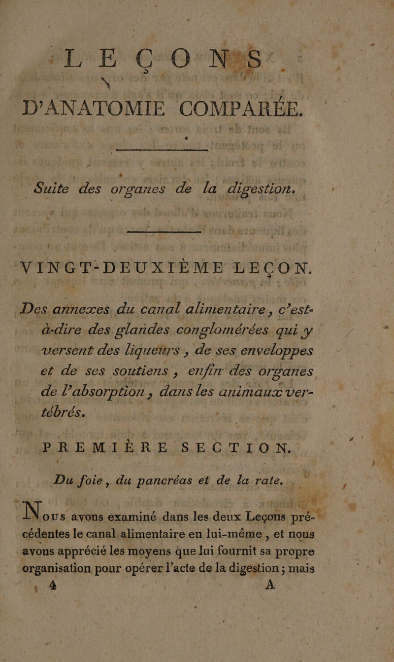 ÎLE GO-Nap” D’ AN ATOMIE COMPAR ÉE. s LUS Suite des organes de la digestion. 4? L Tr eee and p Des annexes. du canal alimentaire ù Q Veste | à-dire des glarides conglomérées qui y versent des liqueurs ; de ses enveloppes et de ses soutiens , enfi x des organes, : de l'absorption , dans les animaux Ver” . tébrés. PREMIÈRE SECTION. OR Du foie, du pancréas et de la rate. ii | »:: Ve avons examiné dans les deux Leçons DER cédentes le canal.alimentaire en lui-même , et nous avons apprécié les moyens que lui fournit sa propre organisation pour opérer l’acte de la digestion ; mais