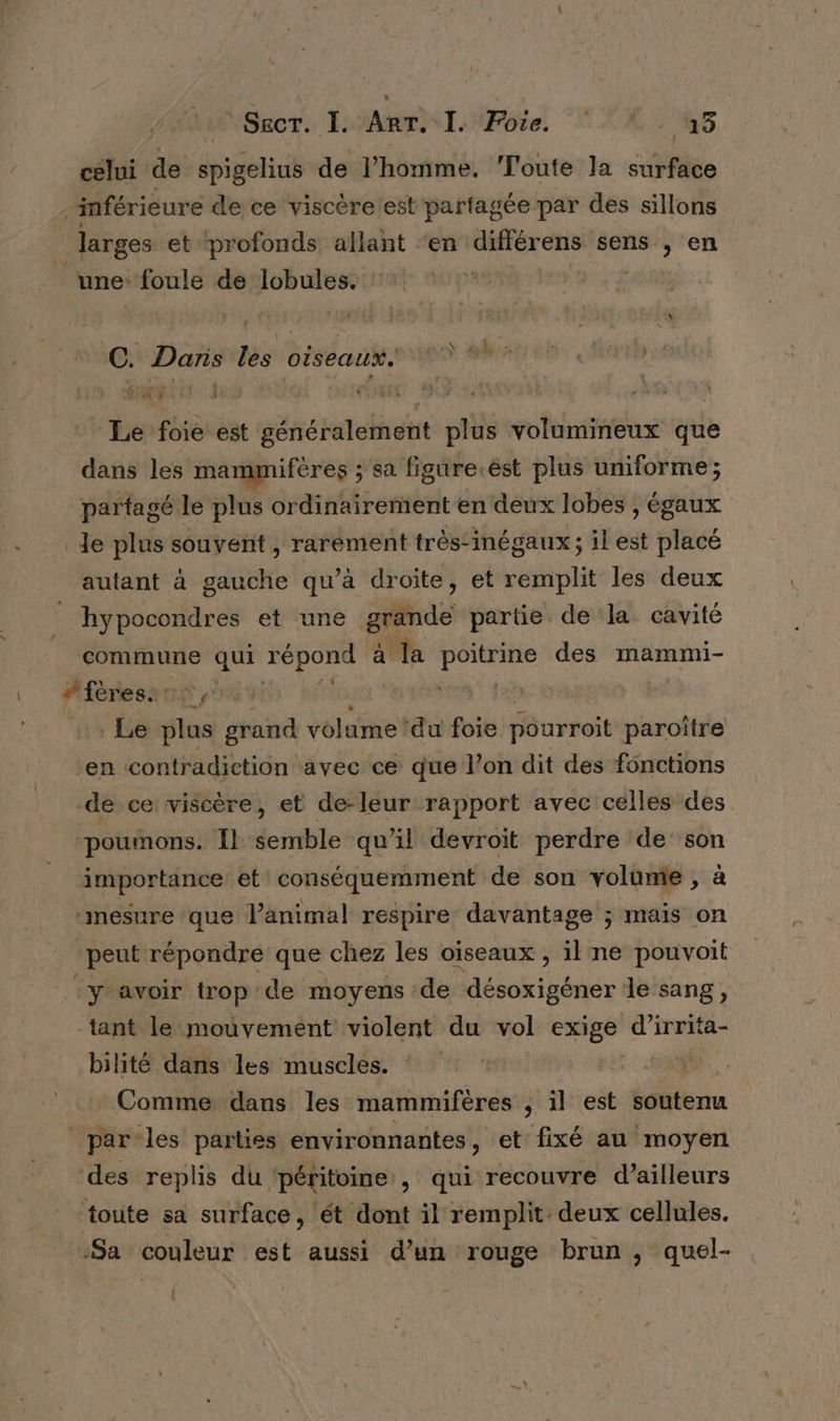 CRETE Rs PIEDS D celui de spigelius de l’homme. Toute la surface es inférieure de ce viscère est partagée par des sillons larges et profonds allant ‘en différens sens , en une: foule de lobules. C. Daris les oiseaux. VA y ART 0 : Le foie est généralement plus volumineux que dans les mammifères ; sa figüre.ést plus uniforme; partagé le plus ordinairement en deux lobes , égaux de plus souvent , rarement très-inégaux; il est placé autant à gauche qu’à droite, et remplit les deux hypocondres et une grande partie de la cavité commune Se répond à la ét des mammi- #'fèresars Le js grand volume ‘du foie pourroit paroître en contradiction avec ce que l’on dit des fonctions de ce viscère, et de-leur rapport avec celles des poumons. Îl semble qu’il devroit perdre de’ son importance et conséquemment de son volume, à ‘mesure que lanimal respire davantage ; mais on peut répondre que chez les oïseaux , il ne pouvoit y avoir trop de moyens de ‘désoxigéner le sang, tant le mouvement violent du vol exige d’irrita- bilité dans les muscles. 12 Comme dans les mammifères , il est soutenu par les parties environnantes, et fixé au moyen des replis du ‘péritoine , qui recouvre d’ailleurs toute sa surface, ét dont il remplit deux cellules. -Sa couleur est aussi d’un rouge brun, quel-