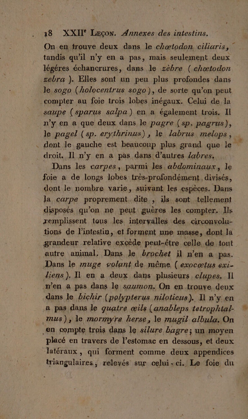 On en trouve deux dans le cLœtodon ciliaris, tandis qu’il n’y en a pas, mais seulement deux légéres échancrures, dans le zèbre ( chætodon zebra ). Elles sont un peu plus profondes dans le sogo (holocentrus sogo), de sorte qu’on peut Fa le pagel (sp. erythrinus) , le labrus melops, dont le gauche est beaucoup plus grand que le Dans les carpes, parmi les. abdominaux, le foie a de longs lobes très-profondément, divisés, la carpe proprement dite , ils sont tellement disposés qu’on ne peut guères les compter. Ils remplissent tous les intervalles des circonvolu- tions de l'intestin, et forment une masse, dont la grandeur relative excède peut-être celle de tout liens). Il en a deux dans plusieurs. c/upes. 11 dans le Dichir (polypterus niloticus). Il n’y en a pas dans le quatre œils (anableps tetrophtal- placé en travers de l’estomac en dessous, et deux latéraux, qui forment comme deux appendices triangulaires, relevés sur celui-ci. Le foie du \