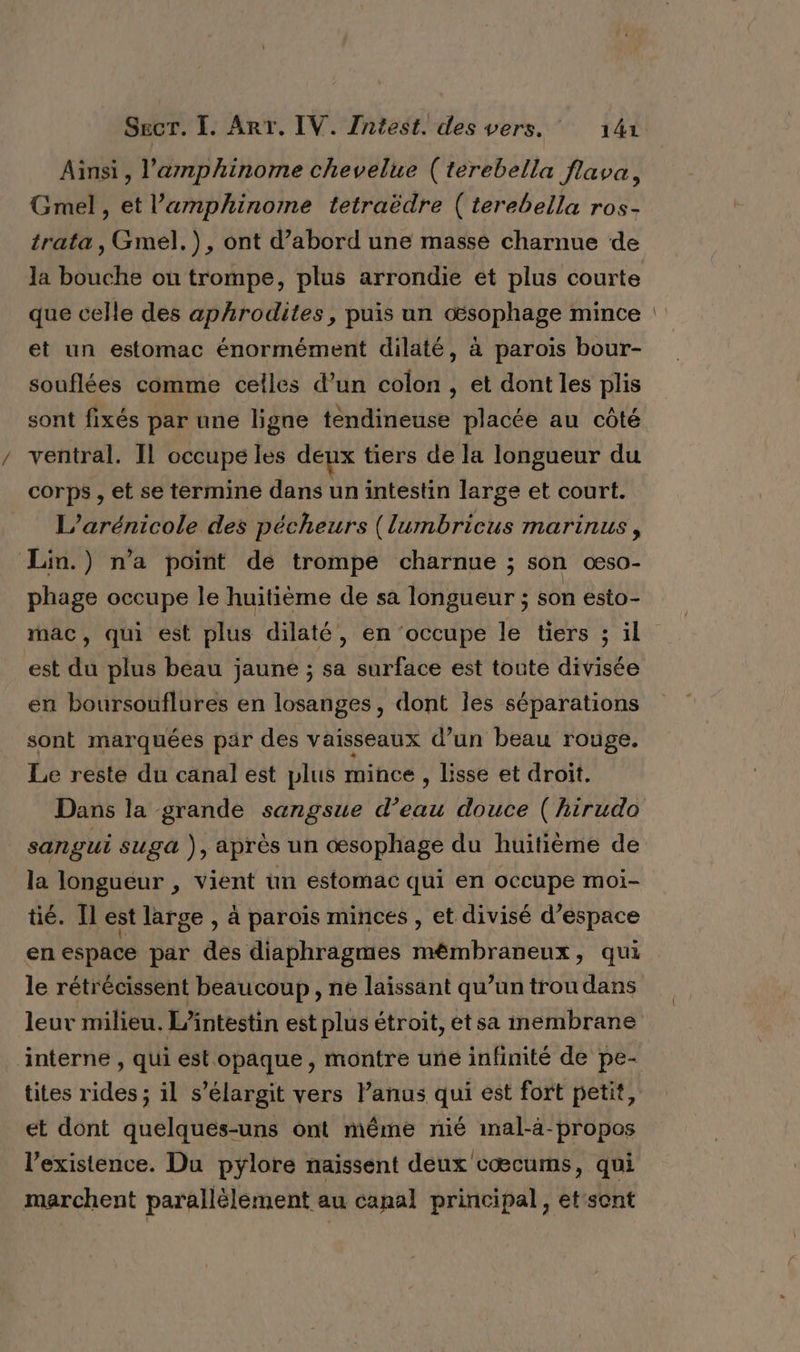 Ainsi , l’'amphinome chevelue (terebella flava, Gmel, et l’'a«mphinome tetraëdre (terebella ros- trata, Gmel.), ont d’abord une massé charnue de la bouche où trompe, plus arrondie et plus courte que celle des aphrodites, puis un csophage mince : et un estomac énormément dilaté, à parois bour- souflées comme celles d’un colon, et dont les plis sont fixés par une ligne téndineuse placée au côté ventral. Il occupe les deux tiers de la longueur du corps , et se termine dans un intestin large et court. L’arénicole des pécheurs (lumbricus marinus, Lin.) n’a point de trompe charnue ; son œsO- phage occupe le huitième de sa longueur ; son esto- mac, qui est plus dilaté, en ‘occupe le tiers 3 il est du plus beau jaune ; sa surface est toute divisée en boursouflures en losanges, dont les séparations sont marquées par des vaisseaux d’un beau rouge. Le reste du canal est plus mince , lisse et droit. Dans la grande sangsue d’eau douce ( hirudo sangui suga ), après un œsophage du huitième de la longueur , vient un estomac qui en occupe moi- tié. Il est large , à paroïs minces , et divisé d’espace en espace par des diaphragmes mémbraneux, qui le rétrécissent beaucoup, ne laissant qu’un trou dans leur milieu. L’intestin est plus étroit, etsa membrane ‘interne , qui est opaque, montre une infinité de pe- tites rides ; il s’élargit vers lanus qui est fort petit, et dont quelques-uns ont même nié mal-à-propos l’existence. Da pylore naissent deux cœcums, qui marchent parallélèment au canal principal, et sont