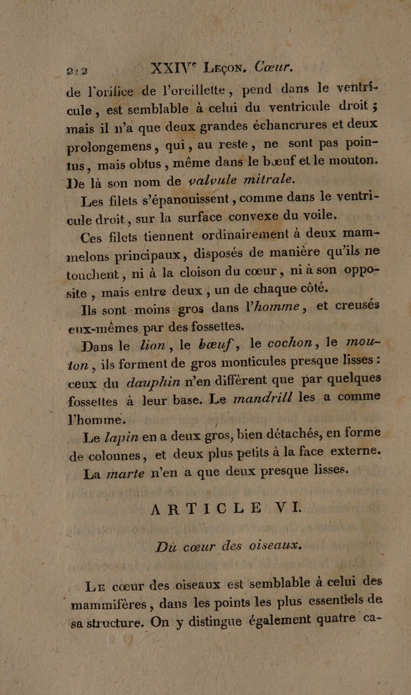 de l'orifice de l'oreillette , pend dans le ventri- cule, est semblable à celui du ventricule droit ; mais il n’a que deux grandes échancrures et deux prolongemens , qui, au reste, ne sont pas poin- tus, mais obtus , même dans le bœuf et le mouton. ‘De la son nom de valvule mitrale. Les filets s’épanouissent , comme dans le ventri- cule droit, sur la surface convexe du voile. Ces filets tiennent ordinairement à deux mam-. melons principaux ; disposés de manière qu’ils ne touchent , ni à la cloison du cœur , ni à sOn Oppo- site, mais entre deux , un de chaque côté. Ts ons moins gros dans l’Aomme, et creusés eux-mêmes par des fossettes. Dans le Zon,le bœuf, le nel onRS le rnou- ton , ils forment ds gros monticules presque lisses : ceux du dauphin n’en diffèrent que par quelques fosseites à leur base. Le mandrill les a comme l’homme. Le lapin en a deux gros, bien détachés, en forme de colonnes, et deux plus petits à la face externe. La marte n'en a que deux presque lisses. ARTICLE VI Du cœur des oiseaux. LE cœur des oiseaux est semblable à celui des mammifères , dans les points les plus essentiels de sa structure. On y distimgue également quatre ca-