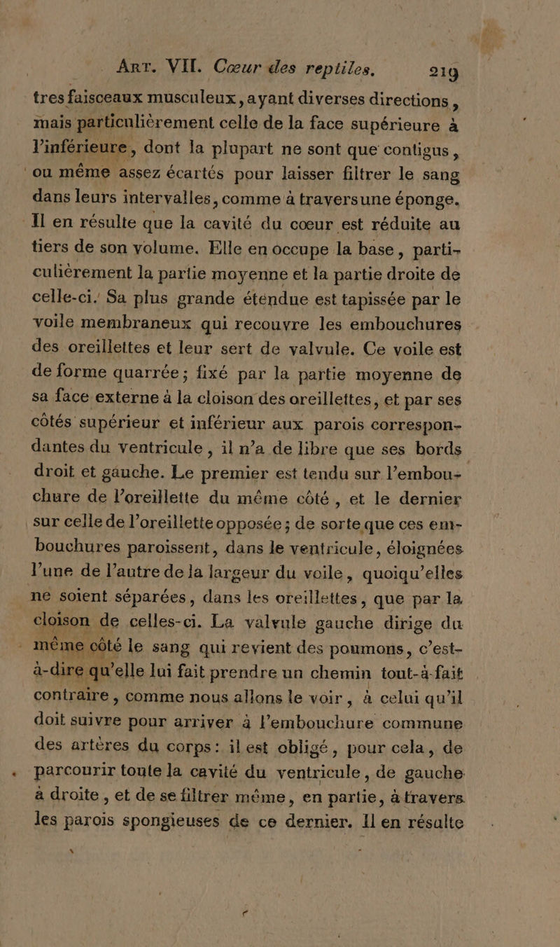 tres faisceaux musculeux, ayant diverses directions F mais particulièrement celle de la face supérieure à V’inférieure, dont la plupart ne sont que contigus, ‘ou même assez écartés pour laisser filtrer le sang dans leurs intervalles, comme à trayersune éponge. Il en résulte que la cavité du cœur est réduite au tiers de son volume. Elle en occupe la base, parti culièrement la partie moyenne et la partie droite de celle-ci, Sa plus grande éténdue est tapissée par le voile membraneux qui recouvre les embouchures des oreillettes et leur sert de valvule. Ce voile est de forme quarrée ; fixé par la partie moyenne de sa face externe à la cloison des oreillettes, et par ses côtés supérieur et inférieur aux parois correspon- dantes du ventricule , il n’a de libre que ses bords | droit et gauche. Le premier est tendu sur l’embou+ chure de l'oreillette du même côté , et le dernier sur celle de l'oreillette opposée ; de sorte que ces em- bouchures paroissent, dans le ventricule, éloignées l’une de l’autre de la largeur du voile, quoiqu’elles ne soient séparées, dans les orei llettes , que par la cloison de celles-ci. La valvule te dirige du ; même © côté le sang qui revient des poumons, c’est- à-dire qu’ ’elle lui ci prendre un chemin tout-4 fait contraire , comme nous allons le voir, à celui qu’il doit suivre pour arriver à l'embouchure commune des artères du corps: ilest obligé, pour cela, de « parcourir toute la cavité du ventricule, de Hu à droite , et de se filirer même, en partie, àtravers les parois spongieuses de ce dernier. Il en résalte &amp;