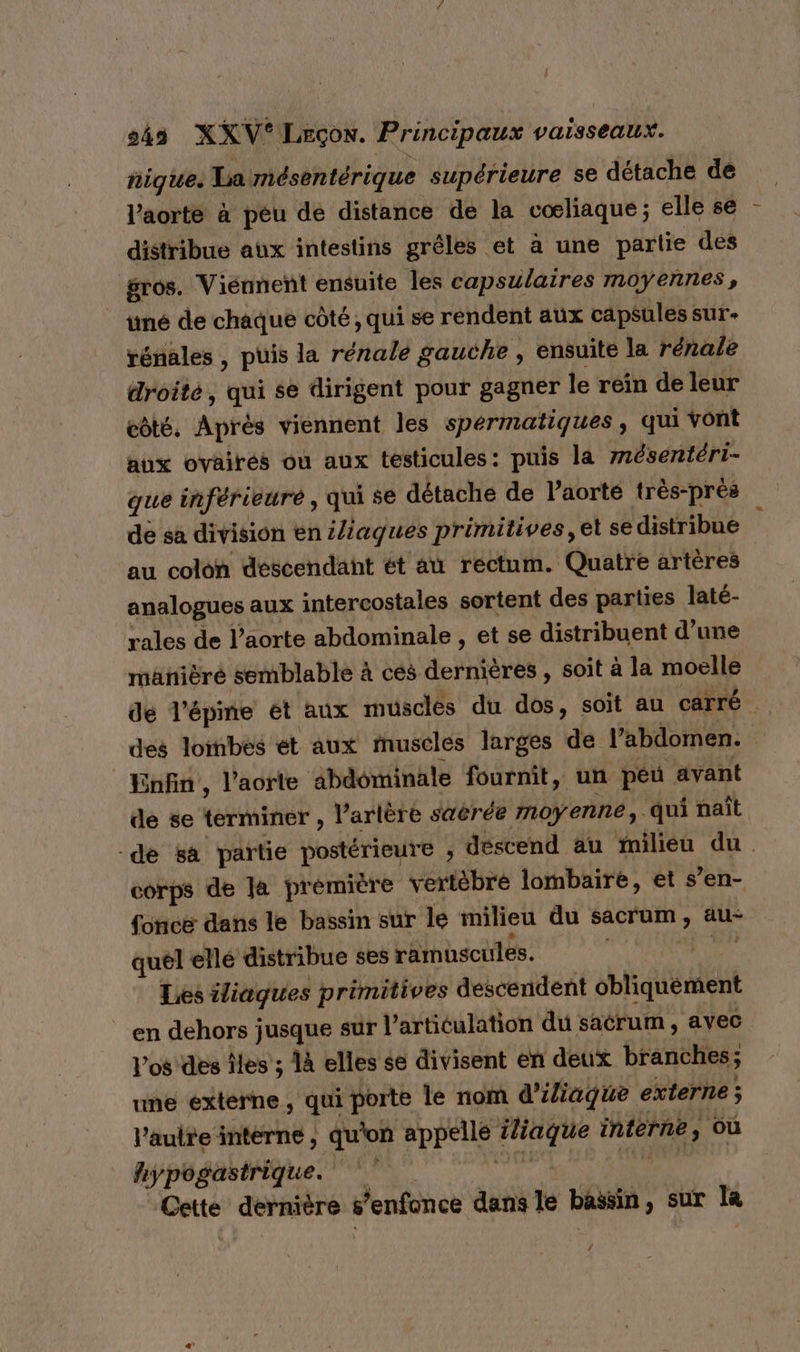 nique. La mésentérique supérieure se détache de l'aorte à péu de distance de la cœæliaque ; elle se distribue aux intestins grêles et a une partie des gros. Viennent ensuite les capsulaires moyennes, | tiné de chaque côté, qui se rendent aux capsules sur- rénales , puis la rénale gauche , ensuite la rénale droité, qui se dirigent pour gagner le rein de leur côté. Après viennent les spérmatiques, qui vont aux ovairés où aux testicules: puis la mésentéri- que inférieure , qui se détache de l’aorté très-près de sa division en iliaques primitives, et se distribue au colon descendant ét a rectum. Quatre artères analogues aux intercostales sortent des parties laté- rales de l'aorte abdominale , et se distribuent d’une mätñièré semblable à ces BePntEs soit à la moelle dé l’épine ét aux musclés du dos, soit au carré des loinbes ét aux muscles larges de l’abdomen. _ Enfin, l'aorte abdominale fournit, un péu avant de se terminer , l’arlère sacrée moyenne, ‘qui naît de sa partie postérieure ; descend au milieu du corps de la prémière vertèbre lombaire, et s’en- fonce dans le bassin sur le milieu du sacrum , äu- quel ellé distribue ses ramuscules. Les iliagues primitives descendent obliquément en dehors jusque sur l articulation du satrum, avec l'os des îles ; 1à elles se divisent en deux branches; une externe; qui porte le nom d'iliaque externe; l’aulre interne , qu'on BpPeie FRUQUE internes ou hypogastrique.