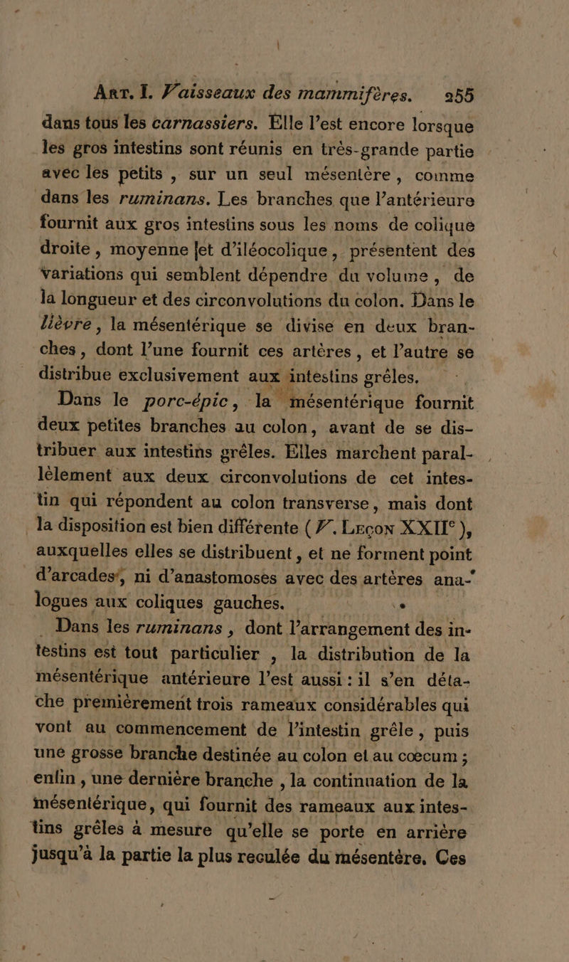 dans tous les carnassiers. Elle l’est encore lorsque les gros intestins sont réunis en très-grande partie avec les petits , sur un seul mésentère, comme dans les ruminans. Les branches que l’antérieure fournit aux gros intestins sous les noms de colique droite, moyenne [et d’iléocolique, présentent des Variations qui semblent dépendre du volume, de la longueur et des circonvolutions du colon. Dans le lièvre, la mésentérique se divise en deux bran- ches, Dot l’une fournit ces artères, et l’autre se distribue exclusivement aux ‘intestins gréles.saf Dans le porc-épic, + nrique fournit deux petites branches au colon, avant de se dis- tribuer aux intestins grêles. Elles marchent paral- lèlement aux deux circonvolutions de cet intes- tin qui répondent au colon transverse, mais dont la disposition est bien différente (7. Lecon XXII° }, auxquelles elles se distribuent , et ne forment point d’arcades', ni d’anastomoses avec des artères ana- logues aux coliques gauches. | .. Dans les ruminans ; dont larrangement des i in- testins est tout particulier , la distribution de la mésentérique antérieure l’est aussi : il s’en déta- che premièrement trois rameaux considérables qui vont au commencement de l'intestin grêle, puis une grosse branche destinée au colon el au coecum ; “ enlin , une dernière branche , la continuation de la mésentérique, qui fournit des rameaux aux intes- tins grêles à mesure qu’elle se porte en arrière jusqu’à la partie la plus reculée du mésentère, Ces