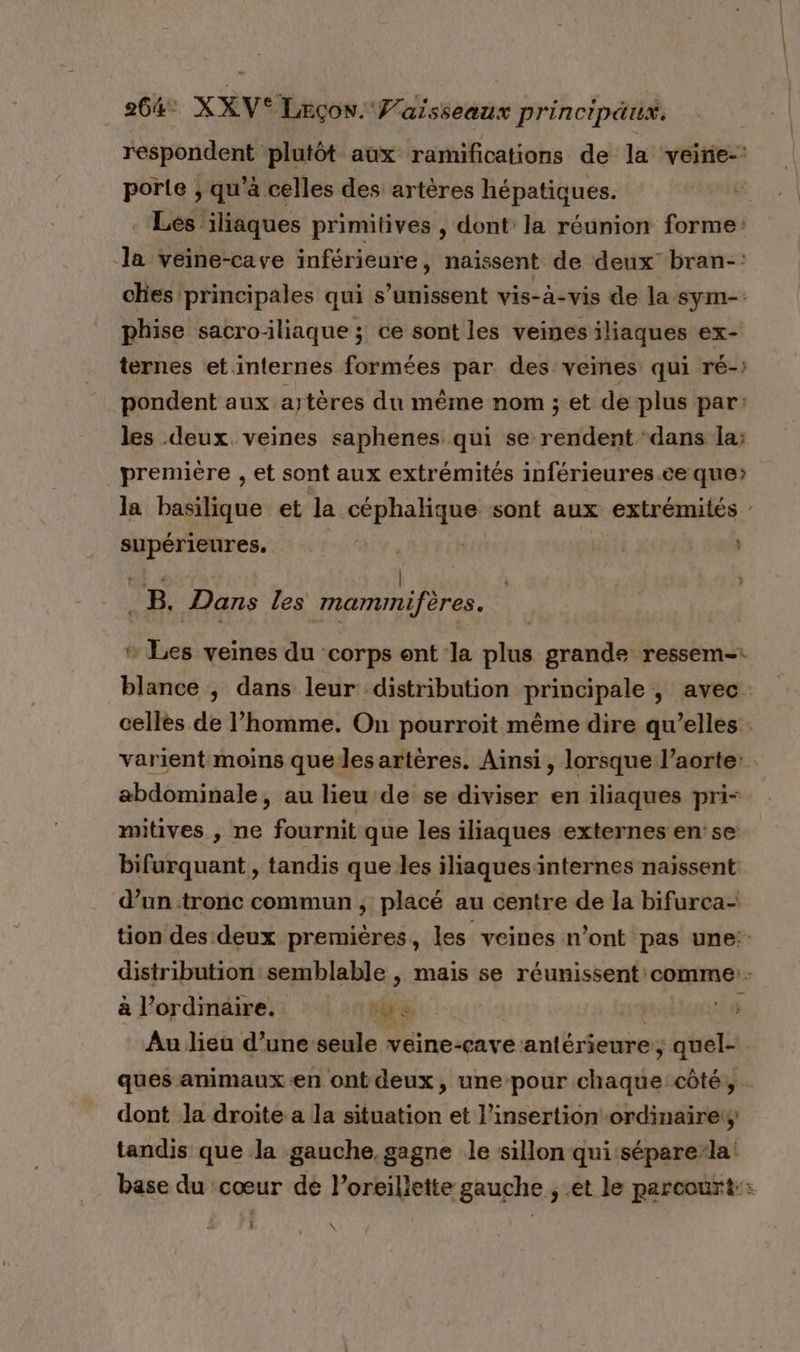 respondent plutôt aux ramifications de la veirie-: porte ; qu'à celles des artères hépatiques. | Les iliaques primitives , dont la réunion forme: —la veine-cave inférieure, naissent de deux bran-: ches principales qui s'unissent vis-à-vis de la sym-. phise sacro:iliaque ; ce sont les veinesiliaques ex- ternes et. internes formées par des veines qui ré-: pondent aux artères du même nom ; et de plus par: les deux. veines saphenes qui se rendent ‘dans la: première , et sont aux extrémités inférieures .ce que la basilique et la céphalique: sont aux extrémités : LATE air | | BE. Dans les mammifères. Es veines du corps ent la phes grande ressem-. blance , dans leur distribution principale , avec: celles de l’homme. On pourroït même dire qu’elles. varient moins quelles artères. Ainsi, lorsque l’aorte: abdominale, au lieu de se diviser en iliaques pri- mitives , ne fournit que les iliaques externes en se bifurquant , tandis que les iliaques internes naissent d’un tronc commun , placé au centre de la bifurca- tion des deux premières, les veines n’ont pas une: distribution: semblable , mais se réunissent comme: à l'ordinaire. + TRE cri Au lieu d’une seule veine-cave. antérieure; quel- ques animaux en ontdeux, unepour ele côté, - dont la droite: a la situation et l'insertion -ordinairei; tandis que la gauche, gagne le sillon qui sépare-la base du cœur dé l’oreillette gauche , et le parcourt: \