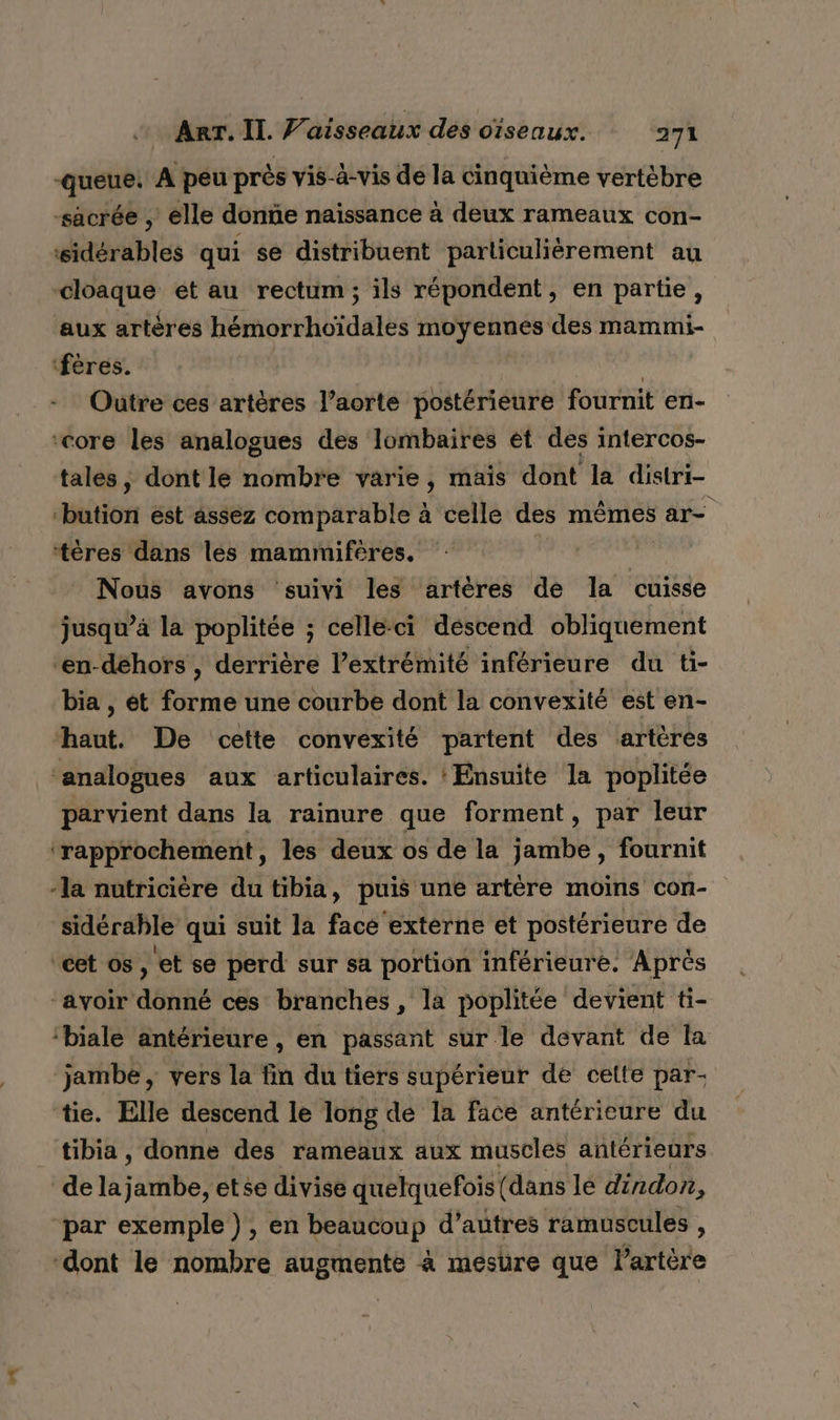 queue. A peu près vis-à-vis de la cinquième vertébre sacrée , elle donñe naïssance à deux rameaux con- ‘sidérables qui se distribuent particulièrement au -cloaque et au rectum ; ils répondent, en partie, aux artères hémorrhoïdales moyennes des mammi- ‘fères. | | | Outre ces artères l’aorte postérieure fournit en- ‘core les analogues des lombaires ét des intercos- tales, dont le nombre varie, mais dont la distri ution est assez comparable à celle des mêmes ar- ‘tères dans les mammifêres,  Nous avons ‘suivi les artères de la cuisse jusqu’à la poplitée ; celleci descend obliquement “en-déhors , derrière l’extrémité inférieure du ti- bia , ét forme une courbe dont la convexité est en- haut. De cette convexité partent des artères ‘analogues aux articulaires. Ensuite la poplitée parvient dans la rainure que forment, par leur ‘rapprochement, les deux os de la jambe, fournit -la nutricière du tibia, puis une artère moins con- sidérable qui suit la facé externe et postérieure de éet os, et se perd sur sa portion inférieure, Après ‘avoir donné ces branches, la poplitée devient ti- ‘biale antérieure , en passant sur le devant de la jambe, vers la fin du tiers supérieur de cette par- tie. Elle descend le long de la face antéricure du tibia, donne des rameaux aux muscles antérieurs dela aies etse divise quelquefois (dans lé dindon, par exemple ), en beaucoup d’autres ramuscules , “dont le nombre augmente à mesure que artère