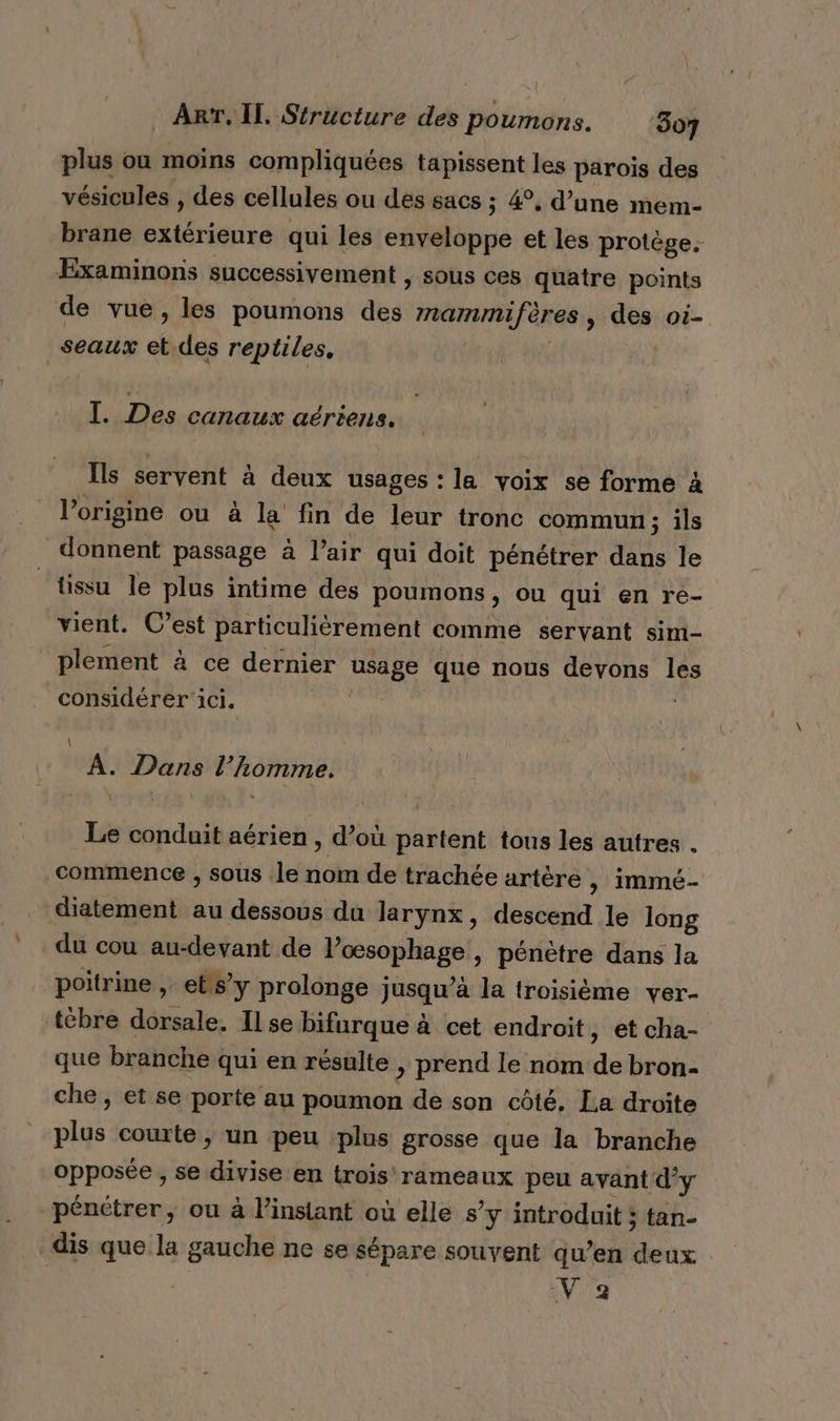 Arr. Il. Structure des poumons. 307 plus ou moins compliquées tapissent les parois des vésicules , des cellules ou des sacs ; 4°, d’une mem- brane extérieure qui les pp et les protège. Examinons successivement , sous ces quatre points de vue, les poumons des mammifères, des oi- seaux ü des reptiles, I. Des canaux aériens. Ils servent à deux usages : la voix se forme à l’origine ou à la fin de leur tronc commun; ils donnent passage à l’air qui doit pénétrer dans le tissu le plus intime des poumons, ou qui en re- vient. C’est particulièrement comme servant sim- _plement à ce dernier RUN que nous devons les considérer ici. | A. Dans l’homme. Le conduit aérien , d’où partent tous les autres . commence , sous le nom de trachée artère »; immé- diatement au dessous du larynx, descend le long du cou au-devant de Possophage » pénètre dans la poitrine , et s’y prolonge jusqu’à la troisième ver- tébre dorsale. Ilse bifurque à cet endroit , etcha- que branche qui en résulte | prend le nom de bron- che, et se porte au poumon de son côté, La droite plus courte , un peu plus grosse que la branche opposée , se rio en trois rameaux peu avant d'y pénétrer, ou à l’insiant où elle s’y introduit ; tan- dis que la gauche ne se sépare souvent qu’en deux