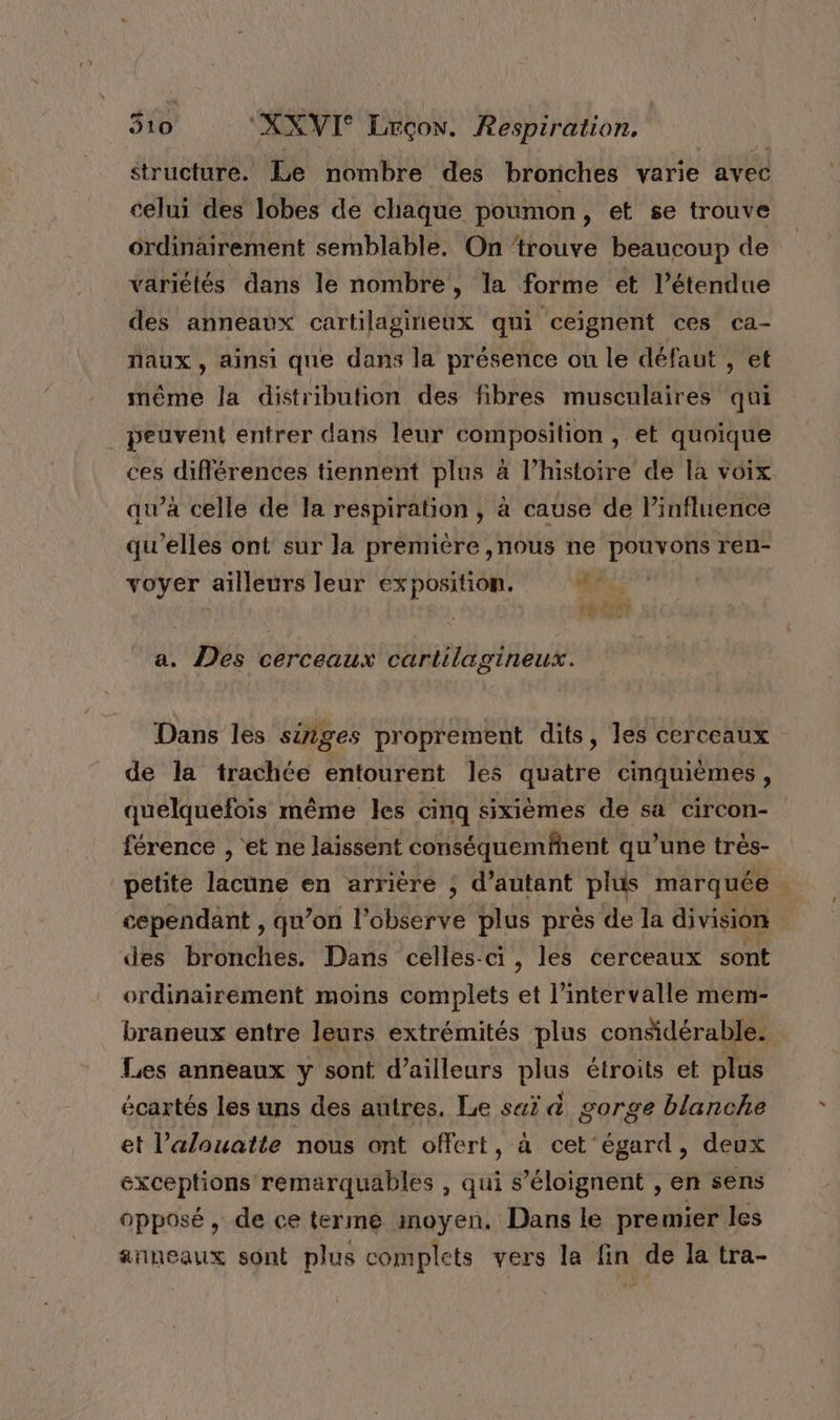 structure. Le nombre des bronches varie avec celui des lobes de chaque poumon, et se trouve ordinairement semblable. On ‘trouve beaucoup de variétés dans le nombre, la forme et l’étendue des anneaux cartilagineux qui ceignent ces ca- naux, ainsi que dans la présence où le défaut , et même la distribution des fibres musculaires qui peuvent entrer dans leur composition, et quoique ces différences tiennent plus à l’histoire de la voix awà celle de la respiration, à cause de l'influence qu'elles ont sur la première ,nous ne pouvons ren- voyer ailleurs leur exposition. s: TN a. Des cerceaux cartilagineux. Dans les singes proprement dits, les cerceaux de la trachée entourent les quatre cinquièmes, quelquefois même les cinq sixièmes de sa circon- férence , ‘et ne laissent conséquemfhent qu’une très- petite lacune en arrière ; d’autant plis marquée cependant , qu'on l’observe plus près de la division des bronches. Dans celles-ci, les cerceaux sont ordinairement moins complets et l'intervalle mem- braneux entre leurs extrémités plus considérable. Les anneaux y sont d’ailleurs plus étroits et plus écartés les uns des autres. Le saï à gorge blanche et l’alouatte nous ont offert, à cet ‘égard, deux exceptions remarquables , qui s’éloignent , en sens opposé, de ce terme moyen. Dans le premier les anneaux sont plus complets vers la fin de la tra-