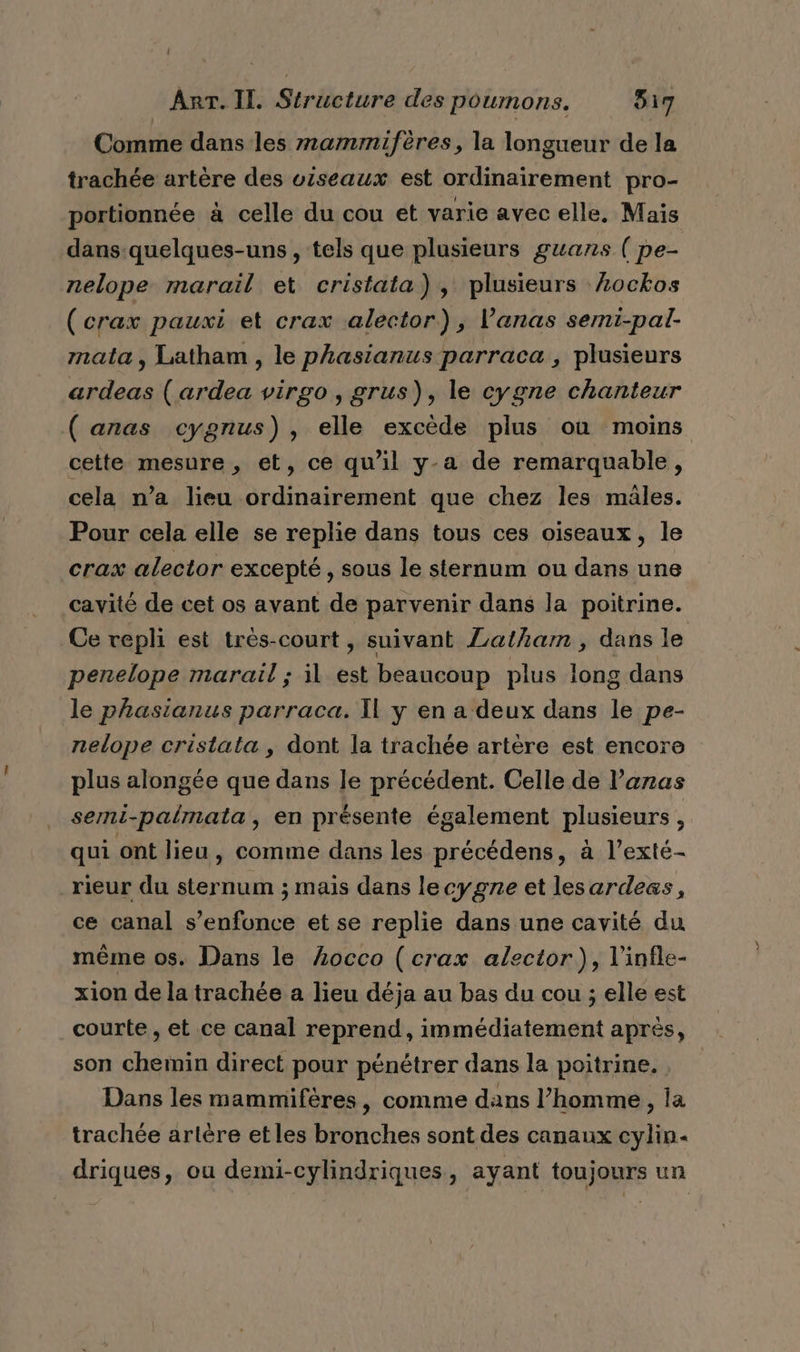 Comme dans les mammifères, la longueur de la trachée artère des viseaux est ordinairement pro- portionnée à celle du cou et varie avec elle. Mais dans:quelques-uns, tels que plusieurs guans ( pe- nelope marail et cristata), plusieurs Æockos (crax pauxi et crax alector), l’anas semi-pal- mata, Latham , le phasianus parraca , plusieurs ardeas (ardea virgo, grus), le cygne chanteur ( anas cygnus), elle excède plus où moins cette mesure, et, ce qu'il y-a de remarquable, cela n’a lieu ordinairement que chez les males. Pour cela elle se replie dans tous ces oiseaux, le crax alector excepté, sous le sternum ou dans une cavité de cet os avant de parvenir dans la poitrine. Ce repli est trés-court , suivant Latham , dans le penelope marail ; il est beaucoup plus long dans le phasianus parraca. Il y en a deux dans le pe- nelope cristata, dont la trachée artère est encore plus alongée que dans le précédent. Celle de l’anas semni-palmata, en présente également plusieurs , qui ont lieu, comme dans les précédens, à l’exté- rieur du sternum ; mais dans lecygne et lesardeas, ce canal s’enfonce et se replie dans une cavité du même os. Dans le Locco (crax alector), l’infle- xion de la trachée a lieu déja au bas du cou ; elle est courte , et ce canal reprend, immédiatement après, son chemin direct pour pénétrer dans la poitrine. Dans les mammifères, comme dans l’homme, la trachée artère et les bronches sont des canaux cylin- driques, ou demi-cylindriques, ayant toujours un