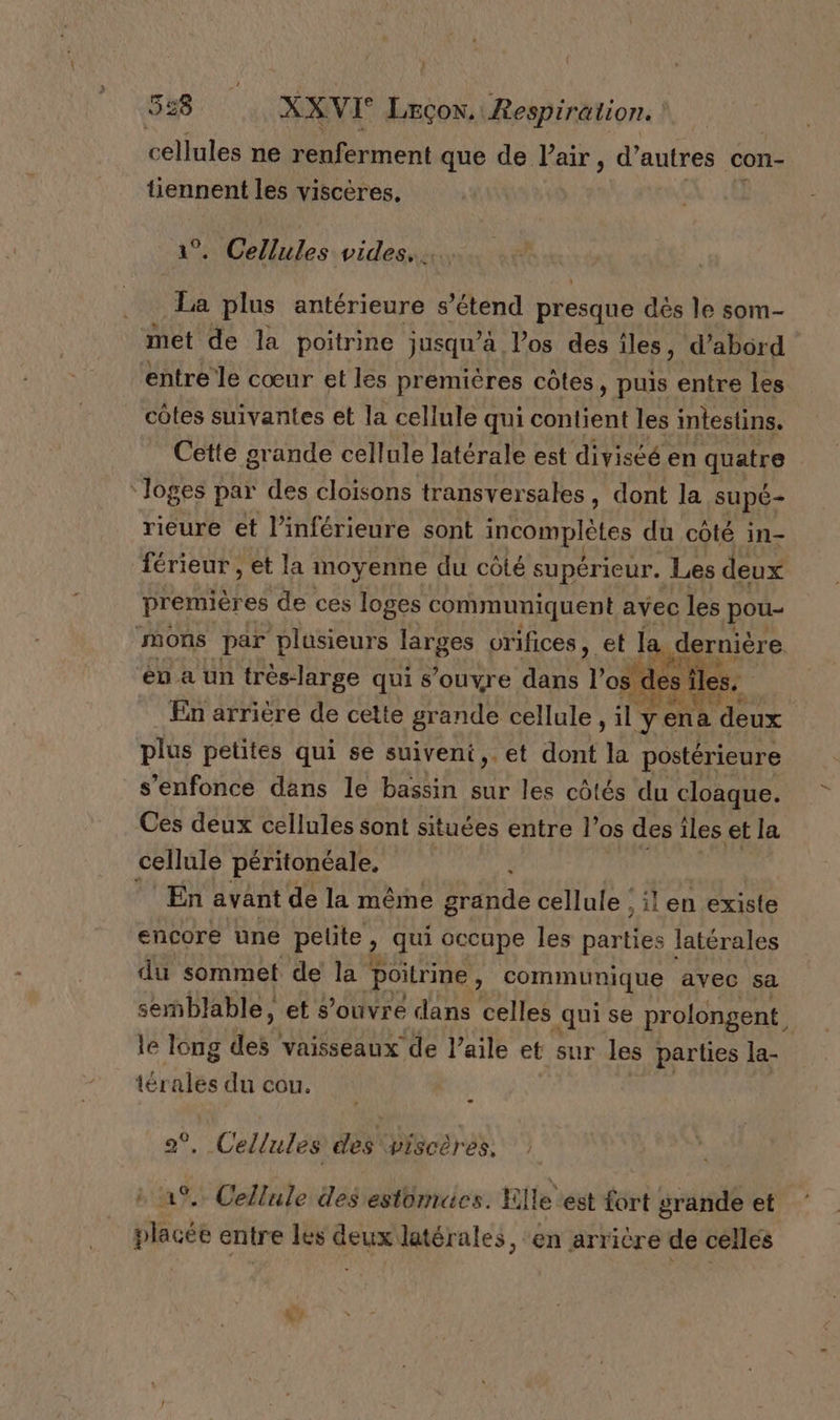 cellules ne renferment que de Pair, d'autres con- tiennent les viscères, Cellules vides... La plus antérieure s’étend péesque dés le som- met de la poitrine jusqu’à los des iles, d’abord entre le cœur et les premières côtes, puis entre les côtes suivantes et la cellule qui contient les intestins. Cette grande cellule latérale est diviséé en quatre ‘loges par des cloisons transversales, dont la supé- rieure et l’inférieure sont HP MpIere du coté in- férieur , et la moyenne du côté supérieur. Les deux premières de ces loges communiquent avec les pou- ‘ons par plasieurs ds orifices, et la dernière en a un très-large qui s'ouvre dans l'os de s ñ les. En arrière de cette grande cellule, il y ena deux plus petites qui se suiveni, et dont la postérieure s'enfonce däns le bassin sur les côtés du cloaque. Ces deux cellules sont situées entre le os des îles et la cellule péritonéale, s ‘En avant de la même grande cellule : il en existe encore une pelite, qui occupe les parties latérales du sommet de la poitrine, communique avec sa semblable, et s'ouvre dans celles qui se prolongent, le long êtes vaisseaux de l’aile et sur les parties la- térales du cou. 2°, Cellules des piscères. 1%, Cellule des estomacs. E lle est fort grande et #4 entre les deux latérales, ‘en arrière de celles D