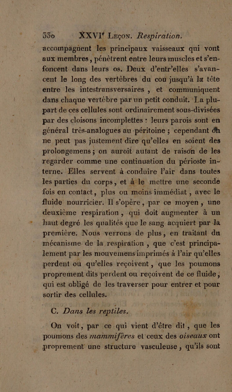 ‘accompägnent les principaux vaisseaux qui vont aux membres, pénètrent entre leurs muscles et s’en- foncent dans leurs os. Deux d’entr’elles s’avan- cent le long des vertèbres du cou jusqu’à la tête entre les intestransversaires , et communiquent dans chaque vertébre par un petit conduit. La plu- part de ces cellules sont ordinairement sous-divisées par des cloisons incomplettes : leurs parois sont en général très-analogues au ‘péritoine ; cependant ôh ne peut pas justement dire qu elles en soient des prolongemens ; on auroit autant de raison de les regarder comme une continuation du périoste in- terne. Elles servent à conduire l’air dans toutes les parties du corps, et à le mettre une seconde fois en contact, plus onu moins immédiat , avec le fluide nourricier. Il s'opère, par ce moyen ; une deuxième respiration , qui doit augmenter à un haut degré les qualités que le sang acquiert par la premitre. Nous verrons de plus, en traitant du mécanisme de la respiration , que c’est principa- lement par les mouvemens imprimés à à l’air qu’elles perdent ou qu’elles reçoivent, que les poumons proprement dits perdent ou reçoivent de ce fluide, qui est obligé de les traverser pour entrer et pour sortir des cellules. = C. Dans les reptiles. KE On voit, par ce qui vient d’être dit, que les poumons des z2ammifères el ceux des oiseaux ont proprement une structure vasculeuse , qu’ils sont