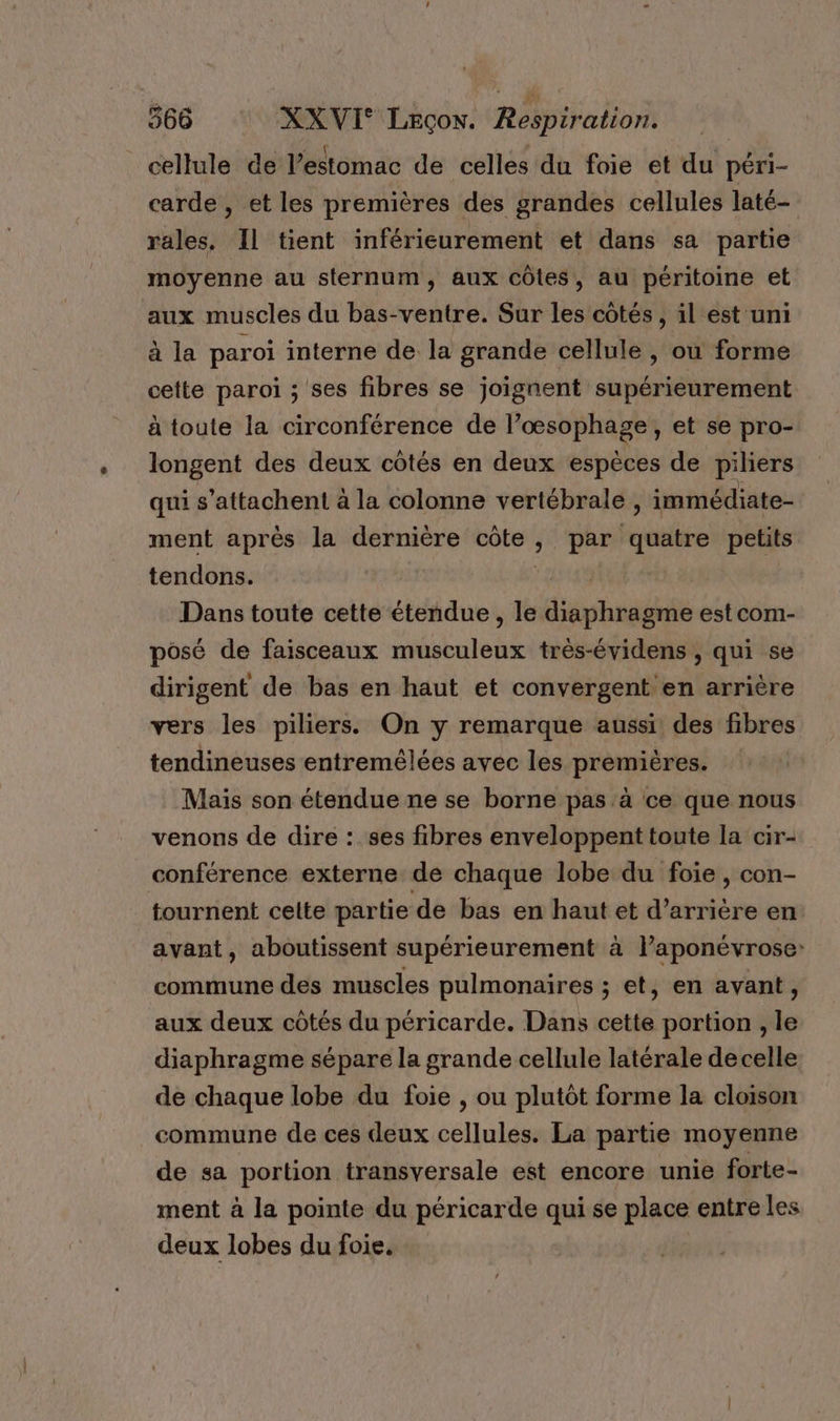 cellule de l'estomac de celles du foie et du péri- carde , et les premières des grandes cellules laté- rales. Il tient inférieurement et dans sa partie moyenne au sternum, aux côtes, au péritoine et aux muscles du bas-ventre. Sur les côtés, il est uni à la paroi interne de la grande cellule , où forme cette paroi ; ses fibres se joignent supérieurement à toute la circonférence de Pos ARA ES et se pro- longent des deux côtés en deux espèces de piliers qui s’attachent à la colonne vertébrale, immédiate- ment après la dernière côte, par quatre petits tendons. Dans toute cette étendue, le devait est com- posé de faisceaux Pr à très-évidens , qui se dirigent de bas en haut et convergent en arrière vers les piliers. On y remarque aussi des fibres tendineuses entremêlées avec les premières. Mais son étendue ne se borne pas à ce que nous venons de dire : ses fibres enveloppent toute la cir- conférence externe de chaque lobe du foie, con- tournent celte partie de bas en haut et d’arrière en avant, aboutissent supérieurement à laponévrose: commune des muscles pulmonaires ; et, en avant , aux deux côtés du péricarde. Dans cette portion , le diaphragme sépare la grande cellule latérale de celle de chaque lobe du foie , ou plutôt forme la cloison commune de ces deux RARE La partie moyenne de sa portion transversale est encore unie forte- ment à la pointe du péricarde qui se place entre les deux lobes du foie.