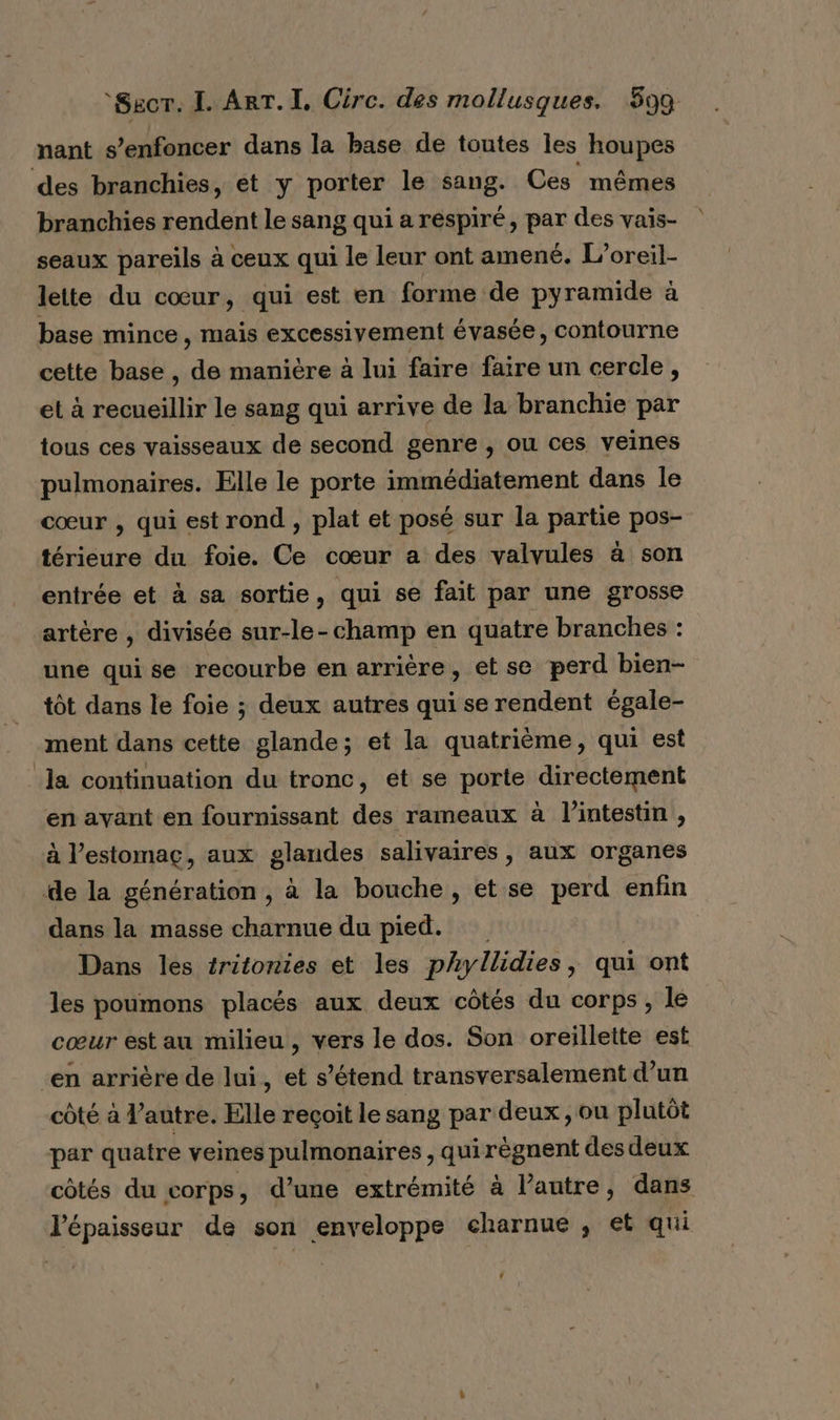 nant s’enfoncer dans la base de toutes les houpes des branchies, et y porter le sang. Ces mêmes branchies rendent le sang qui a respiré, par des vais- seaux pareils à ceux qui le leur ont amené. L’oreil- lette du cœur, qui est en forme de pyramide à base mince, mais excessivement évasée, contourne cette base , de manière à lui faire faire un cercle, et à recueillir le sang qui arrive de la branchie par tous ces vaisseaux de second genre , ou ces veines pulmonaires. Elle le porte immédiatement dans le cœur , qui est rond , plat et posé sur la partie pos- térieure du foie. Ce cœur a des valvules à son entrée et à sa sortie, qui se fait par une grosse artère , divisée sur-le-champ en quatre branches : une quise recourbe en arrière, et se perd bien- tôt dans le foie ; deux autres qui se rendent égale- ment dans cette glande; et la quatrième, qui est la continuation du tronc, et se porte directement en ayant en fournissant des rameaux à l'intestin, à l'estomac, aux glandes salivaires , aux organes de la génération , à la bouche, et se perd enfn dans la masse charnue du pied. Dans les fritontes et les phyllidies , qui ont les poumons placés aux deux côtés du corps, le cœur est au milieu, vers le dos. Son oreillette est en arrière de lui, et s'étend transversalement d’un côté à l’autre. Elle reçoit le sang par deux, ou plutôt par quatre veines pulmonaires , qui de ant des deux côtés du corps, d’une extrémité à l’autre, dans l'épaisseur de son enveloppe charnue , et qui 4