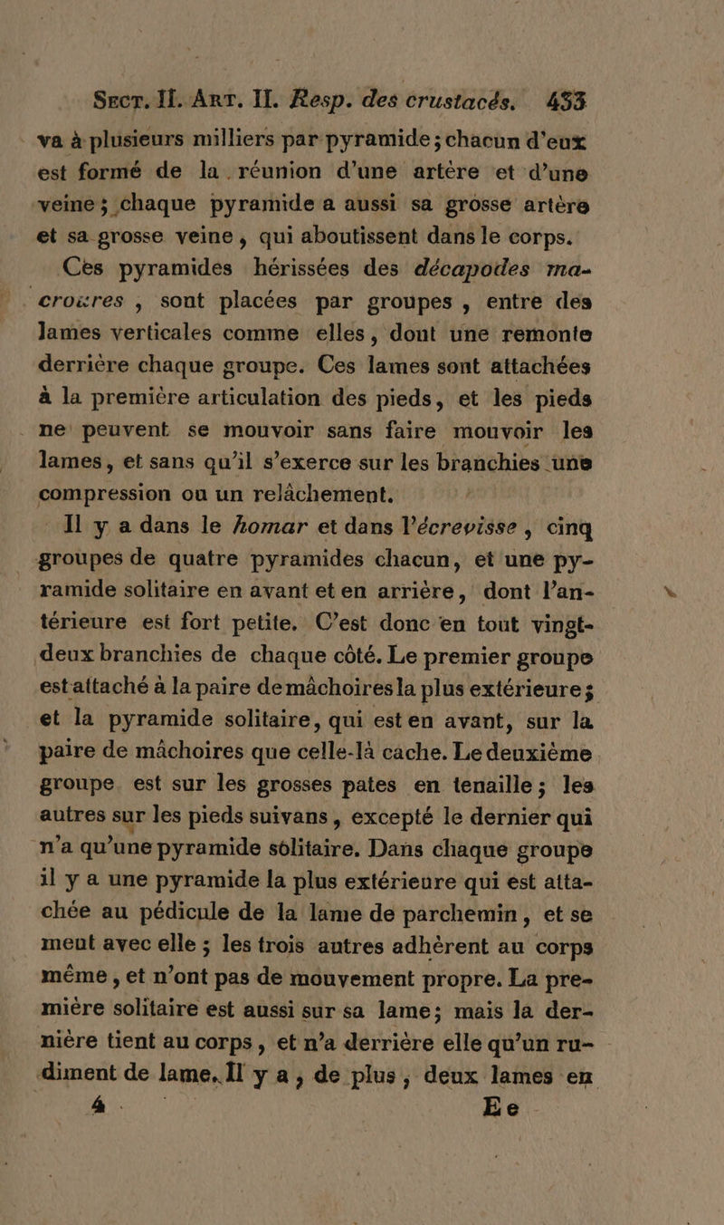 _ va à plusieurs milliers par pyramide ; chacun d'eux est formé de la réunion d’une artère et d’une veine; chaque pyramide a aussi sa grosse artère et sa grosse veine, qui aboutissent dans le corps. Ces pyramides hérissées des décapodes ma- croxres , sont placées par groupes , entre des lames verticales comme elles, dont une remonte derrière chaque groupe. Ces lames sont attachées à la premictre articulation des pieds, et les pieds ne peuvent se mouvoir sans faire mouvoir les lames, et sans qu’il s’exerce sur les branchies une compression ou un relâchement. _ Ï y a dans le #omar et dans l’écreyisse , cinq groupes de quatre pyramides chacun, et une py- ramide solitaire en avant et en arrière, dont l’an- térieure est fort petite. C’est donc en tout vingt- deux branchies de chaque côté. Le premier groupe estattaché à la paire demächoiresla plus extérieures et la pyramide solitaire, qui esten avant, sur la paire de mâchoires que celle-là cache. Le deuxième groupe est sur les grosses pates en tenaille; les autres sur les pieds suivans, excepté le dernier qui n'a qu'une pyramide sblitaire. Dans chaque groupe il y a une pyramide la plus extérieure qui est atta- chée au pédicule de la lame de parchemin, et se meut avec elle ; les trois autres adhèrent au corps même , et n’ont pas de mouvement propre. La pre- mière solitaire est aussi sur sa lame; mais la der- nière tient au corps, et n’a derrière elle qu’un ru- diment de lame, Îl y a ; de plus, deux lames en * RSS Ee