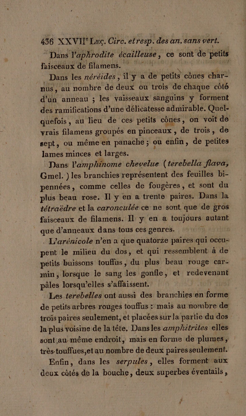 © Dans Taphrodite écailleuse ) ce sont ‘de petits faisceaux de filamens. | . Dans les néréides, il y a de petits cônes char- | nus, au nombre de deux où trois de chique côté d'un anneau ; les vaisseaux sanguins y forment des ramilications d’une délicatesse admirable. Quel- quefois, au lieu de ces petits cônes , on voit de . vrais filamens groupés en pinceaux , de trois, de sept, ou même en panache ; ou enfin, de petites lames minces et larges. Dans l’amphinome chevelue (terebella flava, Gmel. ) les branchies représentent des feuilles bi- pennées, comme celles de fougères, et sont du plus beau rose. Il y en a trente paires. Dans la tétraëdre et la caronculée ce ne sont que de gros faisceaux de filamens. Il y en a toujours autant que d’anneaux dans tous ces genres. DY . L’arénicole n’en a que quatorze paires qui occu- pent le milieu du dos, et qui ressemblent à de petits buissons touffus, du plus beau rouge car- min , lorsque le sang les gonfle, et redevenant pâles lorsqu'elles s’affaissent. Les terebelles ont aussi des branchies:en forme de petits arbres rouges touffus : mais au nombre de trois paires uterlént. et placées sur la partie du dos la plus voisine de la tête, Dansles amphitriles elles sont au même endroit, mais en forme de plumes, très-touffues,et au nombre de deux paires seulement. Enfin, dans les serpules, elles forment aux deux côtés de la bouche, deux superbes éventails,