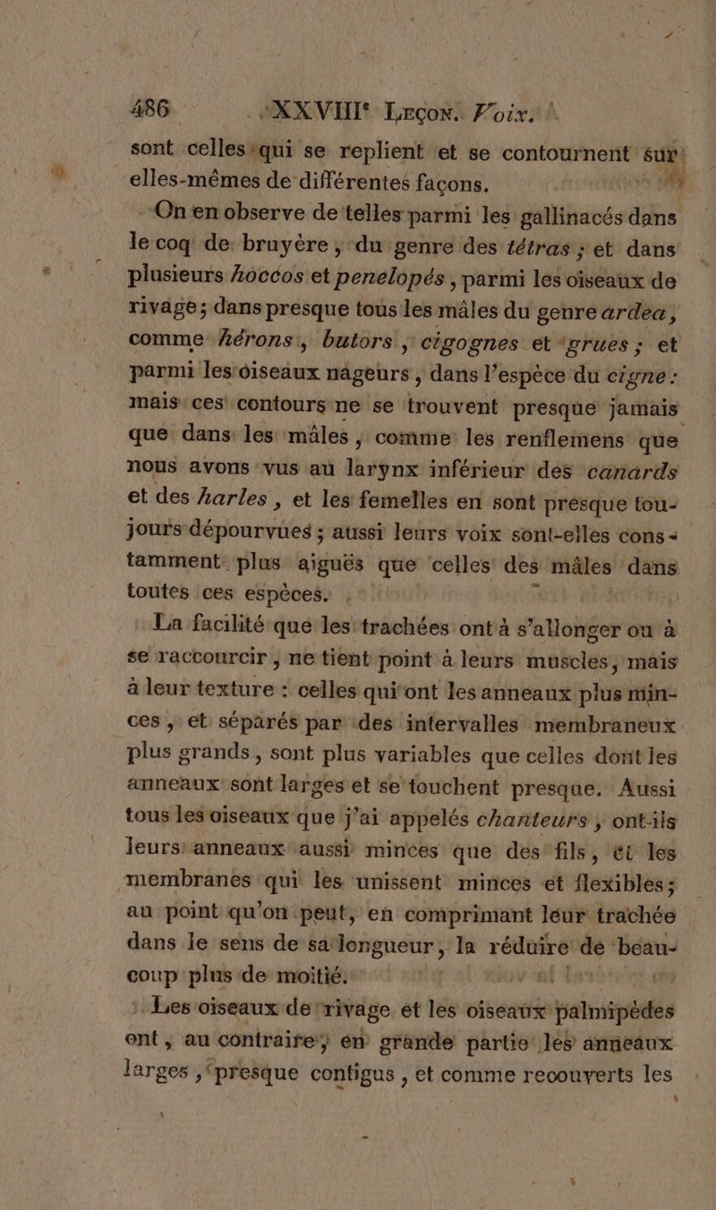 elles-mêmes de différentes façons. On en observe de telles parmi les gallinacés dans le coq de bruyère ; du genre des tétras ; et dans plusieurs £occos et penelopés , parmi les oiseaux de comme férons, butors ; cigognes et grues; et parmi les'oiseaux nageurs , dans l'espèce du crgne : mais ces’ contours ne se trouvent prèésque jamais que dans: les mâles ;: comme les renflemens que nous avons vus au larynx inférieur des canards et des karles , et les femelles en sont présque lou jours débute aussi leurs voix sont-elles cons - tamment plus aiguës que celles des mâles dans toutes ces espèces. | La facilité que les trachées ont à s’allonger on à se raccourcir , ne tient point à leurs muscles, mais à leur texture : celles qui‘ont les anneaux plus min- ces , et séparés par des intervalles membraneux plus grands, sont plus variables que celles dont les anneaux sont larges et se touchent presque. Aussi tous les oiseaux que j’ai appelés chanteurs , ontis leursranneaux aussi minces que des'fils, ét les membranes qui les unissent minces et flexibles; au point qu'on peut, en comprimant leur trachée dans le sens de sa‘longueur, la réduire dé ‘beau- ds plus de moitié. de oi À . :. Les oiseaux de ‘rivage ét les oiseaux palmipèdes ent, au contraire} én grande partie les anneaux larges (presque contigus , et comme recouverts les È