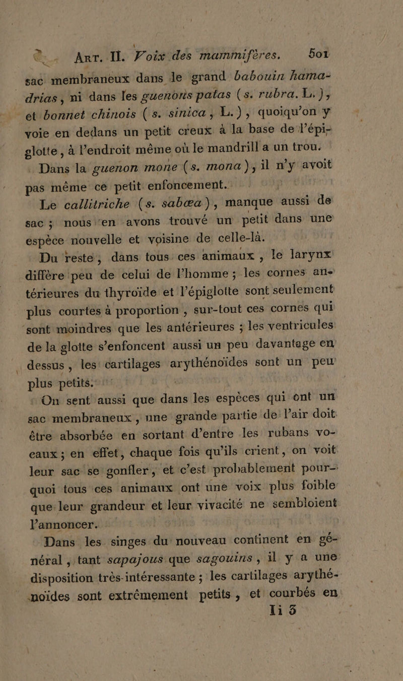 » | sac membraneux dans le grand babouin hama- _drias, ni dans les guenons patas (s. rubra.E,), ét bonnet chinois (s. sinica , L.), quoiqu’on y voie en dedans un petit creux à la base de lépi- glotte , à l'endroit même où le mandrill a un trou. Dans la guenon mone (s. mona), il n’y avoit pas même ce petit enfoncement. AE Le callitriche (s. sabæa), manque aussi de sac ; nous ‘en ‘avons trouvé un petit dans une espèce nouvelle et voisine de celle-là. Du resté, dans tous ces animaux , le larynx diffère peu de celui de l’homme ; les cornes an- térieures du thyroïde et l’épiglotte sont seulement plus courtes à proportion , sur-tout ces cornes qui ‘sont moindres que les antérieures ; les ventricules de la glotte s’enfoncent aussi un peu davantage en dessus , les cartilages arythénoïdes sont un peu plus petits. | On sent aussi que dans les espèces qui ont un sac membraneux , une grande partie de: Pair doit être absorbée en sortant d’entre les rubans vo- eaux ; en effet, chaque fois qu'ils crient, on voit. leur sac se gonfler, et c’est probablement pour- quoi tous ces animaux ont une voix plus foible que leur grandeur et leur vivacité ne sembloient l’annoncer. À | Dans les singes du nouveau continent en gé- néral , tant sapajous que sagouins , il y a une disposition trés-intéressante ; les cartilages arythé- noïdes sont extrémement petits, et courbés en li 5