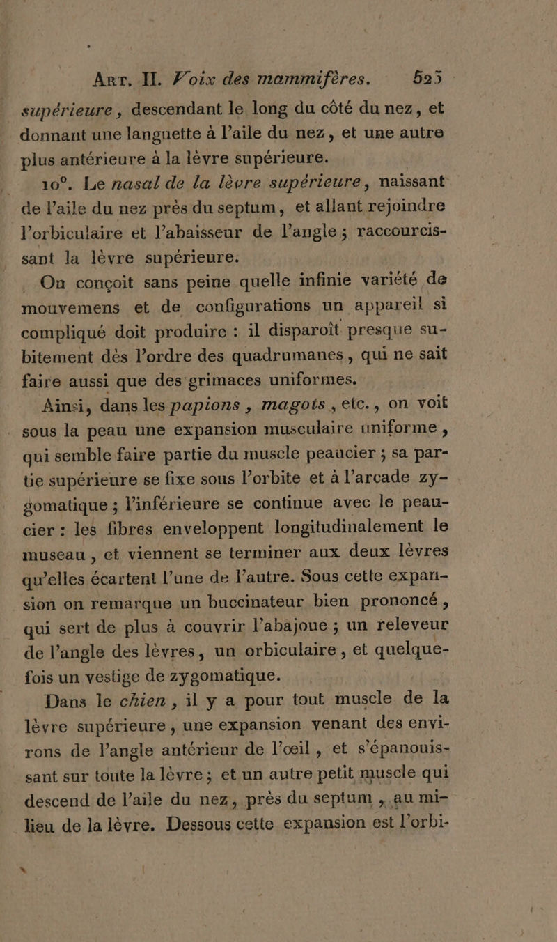 supérieure, descendant le long du côté du nez, et donnant une languette à l’aile du nez, et une autre plus antérieure à la lèvre supérieure. 10°, Le nasal de la lèvre supérieure, naissant de l’aile du nez près du septum, et allant rejoindre lorbiculaire et l’abaisseur de l'angle ; raccourcis- sant la lèvre supérieure. | _ On conçoit sans peine quelle re variété de mouvemens et de configurations un appareil si compliqué doit produire : il disparoît presque su- bitement dès l’ordre des quadrumanes , qui ne sait faire aussi que des grimaces uniformes. Ainsi, dans les papions , magots , eic., on voit sous la peau une expansion musculaire uniforme , qui semble faire partie du muscle peaucier ; sa par- tie supérieure se fixe sous l’orbite et à l’arcade zy- gomatique ; linférieure se continue avec le peau- cier : les fibres enveloppent longitudinalement le museau , et viennent se terminer aux deux lèvres qu’elles écartent l’une de l’autre. Sous cette expari- sion on remarque un buccinateur bien prononcé, qui sert de plus à couvrir l’abajoue ; un releveur de l’angle des lèvres, un orbiculaire , et quelque- fois un vestige de zygomatique. Dans le chien , il y a pour tout muscle de la lèvre supérieure , une expansion venant des envi- rons de l'angle antérieur de l’œil, et s’épanouis- sant sur toute la lèvre; et un autre petit muscle qui descend dé l’aile du nez, près du septum , au mi- lieu de la lèvre. Dessous cette expansion est l’orbi-