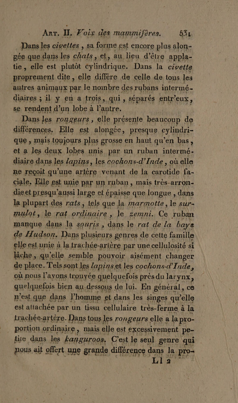 An. II, Foix des manunifères. 534. Dans les civeltes , sa forme est encore plus alon- gée que dans les chats, el, au lieu d’être appla- tie , elle est plutôt ct te Dans la civette proprement dite, elle diffère de celle de tous les autres animaux par le nombre des rubans intermé- diaires ; il y en a trois, qui, séparés entr” EUX ; se rendent d’un lobe à l’autre. Dans les TONSGEUTS , elle présente beaucoup de dÉsboées Elle est alongée, presque cylindri- que , mais toujours plus grosse en haut qu’en bas, ? et a les deux lobes unis par un ruban intermé- diaire dans les: lapins, les cochons-d’Inde , où elle ne reçoit qu’une artère venant de la éme fa ciale. Elle est unie par un ruban, mais très- arron- dieet presqu'aussi large et épaisse que longue , das la plupart des rats, tels que la marmotte, le s ur- mulot, le raf ordinaire ; le zemni. Ce ruban manque dans la souris , dans le rat de la baye de Hudson. Dans plusieurs genres de cette famille elle estunie à la trachée-arière par une cellulosité si lâche ; qu'elle semble pouyoir aisément changer de place. Tels sont les lapins, et les cochons-d Tnde , où nous l’ayons trouyée quelquefois près du lar ynx, quelquefois bien au-dessous de lui. En généra al, ce n'est que dans V’homme et dans les singes qu ‘elle est attachée par un tissu cellulaire très-ferme à la trachée-artère. Dans tous les rongeurs elle a la pro- portion ordinaire, mais elle est excessivement pee tue dans les Eanguroos. C'est le seul genre qui pous ait offert une grande différence dans la. pro- Li 2