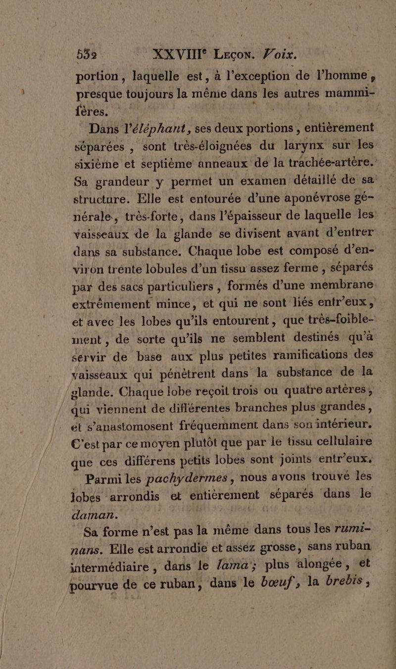 portion, laquelle est, à l'exception de l’homme , presque toujours la même dans les autres mammi- fères. Dans l'éléphant, ses deux portions , ‘entièrément séparées , sont trés-éloignées du larynx sur les sixièrne et septième anneaux dé la trachée-artère. Sa grandeur y permet un examen détaillé de sa structure. Elle est entourée d’une aponévrose gé- nérale, très-forte, dans l’épaisseur de laquelle les vaisseaux de la glande se divisent avant d'entrer dans sa substance. Chaque lobe est composé d’en- viron trénte lobules d’un tissu assez ferme, ‘séparés par des sacs particuliers , formés d’une ét hs: extrêmement mince, et qui ne sont liés entr'eux, et avec les lobes qu'ils entourent, que très-foible- ment , de sorte qu’ils ne semblent destinés qu’à servir de base aux plus petites ramifications des vaisseaux qui pénétrent dans la substance de la glande. Chaque lobe reçoil trois ou quatre artères, | qui viennent de différentes branches plus 8 grandes, et s’anastomosent fréquemment dans son intérieur, C'est par ce moyen plutôt que par le tissu cellulaire que ces différens petits lobes sont joints entr’eux, Parmi les pachydermes, nous avons trouvé les lobes arrondis et entièrement séparés dans le daman. | | Sa forme n’est pas la même dans tous les rumi- nans. Elle est arrondie et assez grosse, sans ruban intermédiaire , dans le /ama'; plus alongte, et pourvue de ce ruban, dans le bœuf, la Brel,