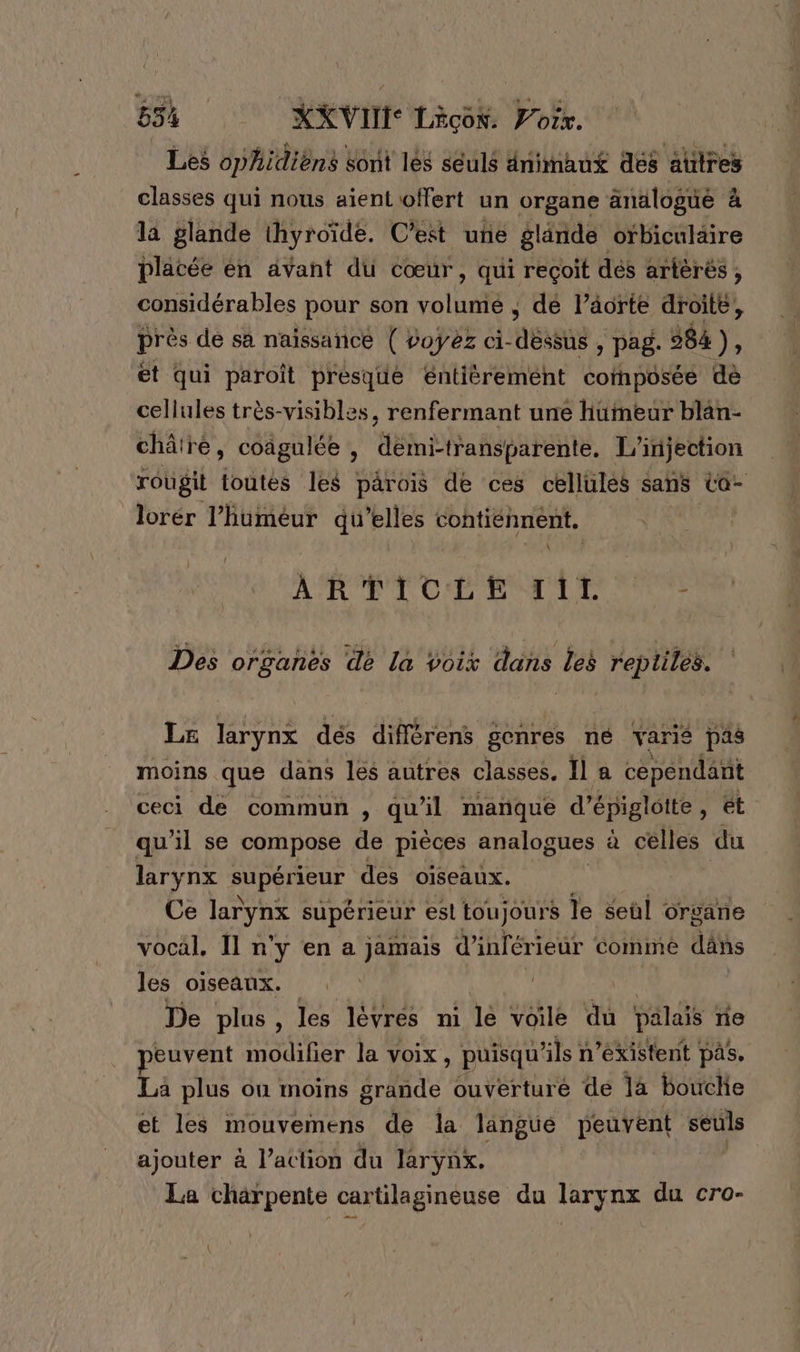 55% XXVITS Läçon. Por. Les ophidièns Sont lès seuls nimaux des autres classes qui nous aient offert un organe änälogüé à la glande thyroïde. C’est une glande orbiculäire placée en avant du cœur, qui reçoit dés artérés, considérables pour son ol de läorte droite, près de sa naïssañce ( voyez ci- FT » Pag 984 ÿ 1 ét qui paroît presque éntièremént cornposée dè cellules très-visibles, renfermant une humeur blan- châtré, coâgulée , ‘Anilañipapente. L'injection rougit toutes les pärois de ces cellules sans ta- lorér l’huméur qu’elles contiénnent. YA \ ARTICLE Till. g Des organès de la voix dans les reptiles. LE larynx dés diflérens genres né varié pas moins que dans les autres classes. la cependant ceci de commun , qu'il mañque d’épigloite , et qu'il se compose de pièces analogues à celles du larynx PUDATIQUE des oiseaux. Ce larynx supérieur est toujours le seùl organe vocal, Il n'y en a jamais d'inférieur comme däns les oiseaux. | De plus, les lévrés ni le voile du palais rie peuvent modifier la voix, puisqu ls n existent pas. La plus ou moins grande ouverturé de là boucle et les mouvemens de la langue peuvent seuls ajouter à l’action du larynx. La charpente cartilagineuse du larynx du cro-