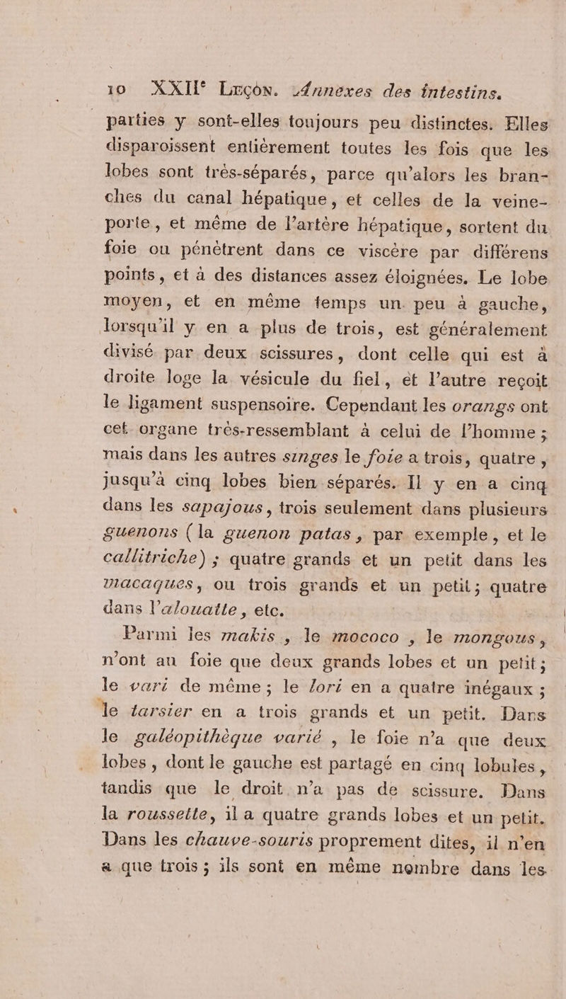 parties y sont-elles toujours peu distinctes. Elles disparoissent entiérement toutes les fois que les lobes sont trés-séparés, parce qu’alors les bran- ches du canal hépatique, et celles de la veine- porte, et même de l'artère hépatique, sortent du foie ou pénètrent dans ce viscère par différens points, et à des distances assez éloignées, Le lobe moyen, et en même femps un. peu à gauche, lorsqu'il y en a plus de trois, est généralement divisé par deux scissures, dont celle qui est à droite loge la vésicule du fiel, èt l’autre reçoit le ligament suspensoire. Cependant les orangs ont ce organe très-ressemblant à celui de l’homme ; mais dans les autres sz2ges le foie a trois, quaire , jusqu'à cinq lobes bien séparés. Il y en a cinq dans les sapajous, trois seulement dans plusieurs Suenons (la guenon patas , par exemple, et le callitriche) ; quatre grands et un petit dans les mIacaques, où trois grands et un petii; quatre dans l’&amp;louatte , etc. Parmi les makis , le mococo , le mongous, n'ont an foie que deux grands lobes et un petit ; le vari de même; le /ori en a quatre inégaux ; le tarsier en a trois grands et un petit, Dars le galéopithèque varié , le foie n’a que deux lobes , dont le gauche est partagé en cinq lobules, tandis que le droit n’a pas de scissure. Dans la rousselle, il a quatre grands lobes et un petit. Dans les chauve-souris proprement dites, il n’en a que trois ; ils sont en même nombre dans les.