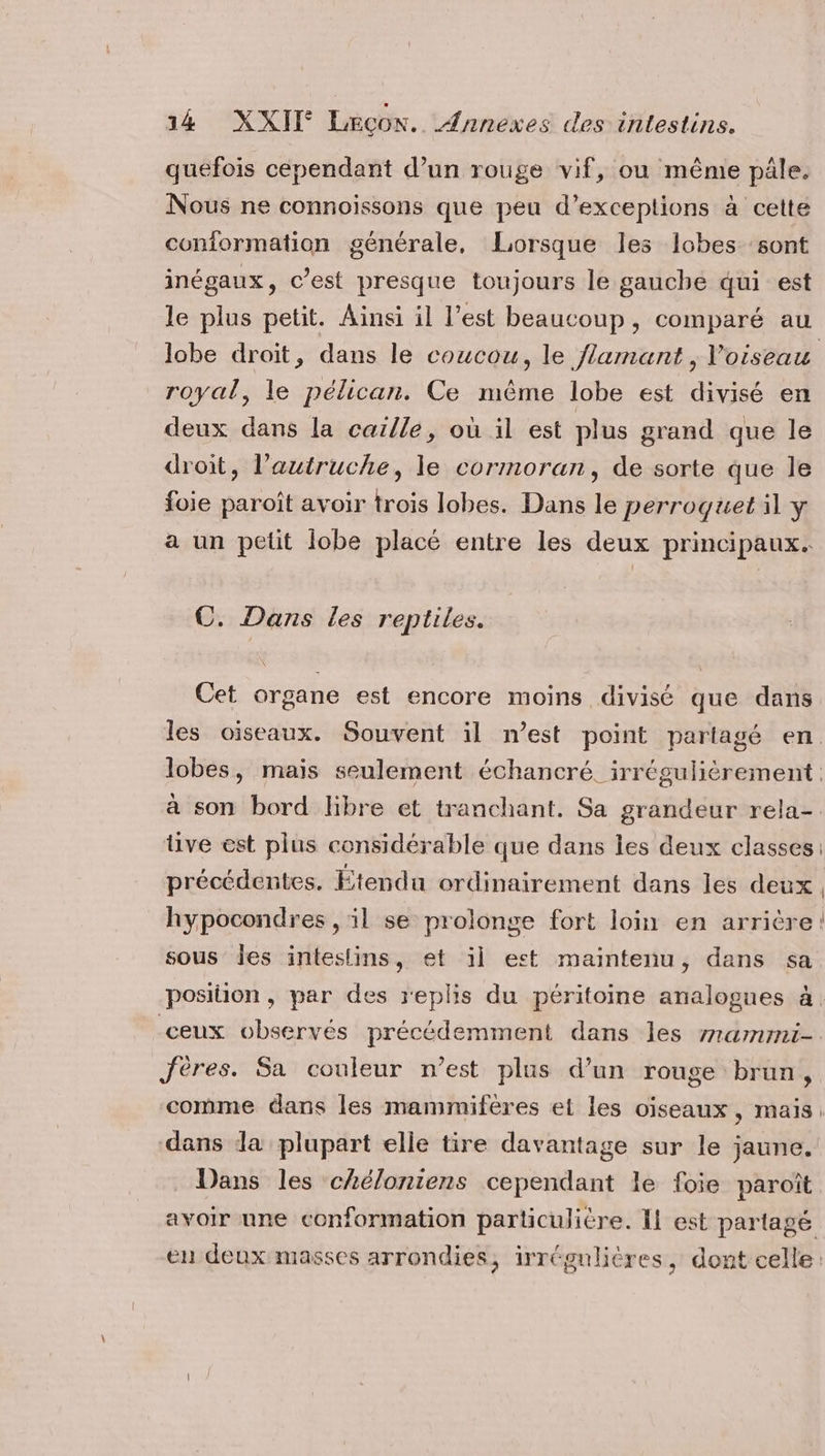 . , « é  A A quefois cependant d’un rouge vif, ou même pâle. Nous ne connoissons que peu d’exceptions à cette conformation générale, Lorsque les lobes sont inégaux, c’est presque toujours le gauche qui est lobe droit, dans le coucou, le flamant , l'oiseau royal, le pélican. Ce même lobe est divisé en deux dans la caille, où il est plus grand que le droit, l’autruche, le cormoran, de sorte que le foie paroïît avoir trois lobes. Dans le perroquet il y a un petit lobe placé entre les deux principaux. C. Dans les reptiles. Cet organe est encore moins divisé que dans tive est plus considérable que dans les deux classes précédentes. Etendu ordinairement dans les deux sous les inteslins, et il ect maintenu, dans sa Jères. Sa couleur n’est plus d’un rouge brun, comme dans les mammifères ei les oiseaux, mais dans da plupart elle tire davantage sur le jaune. _ Dans les chéloniens cependant le foie paroît |