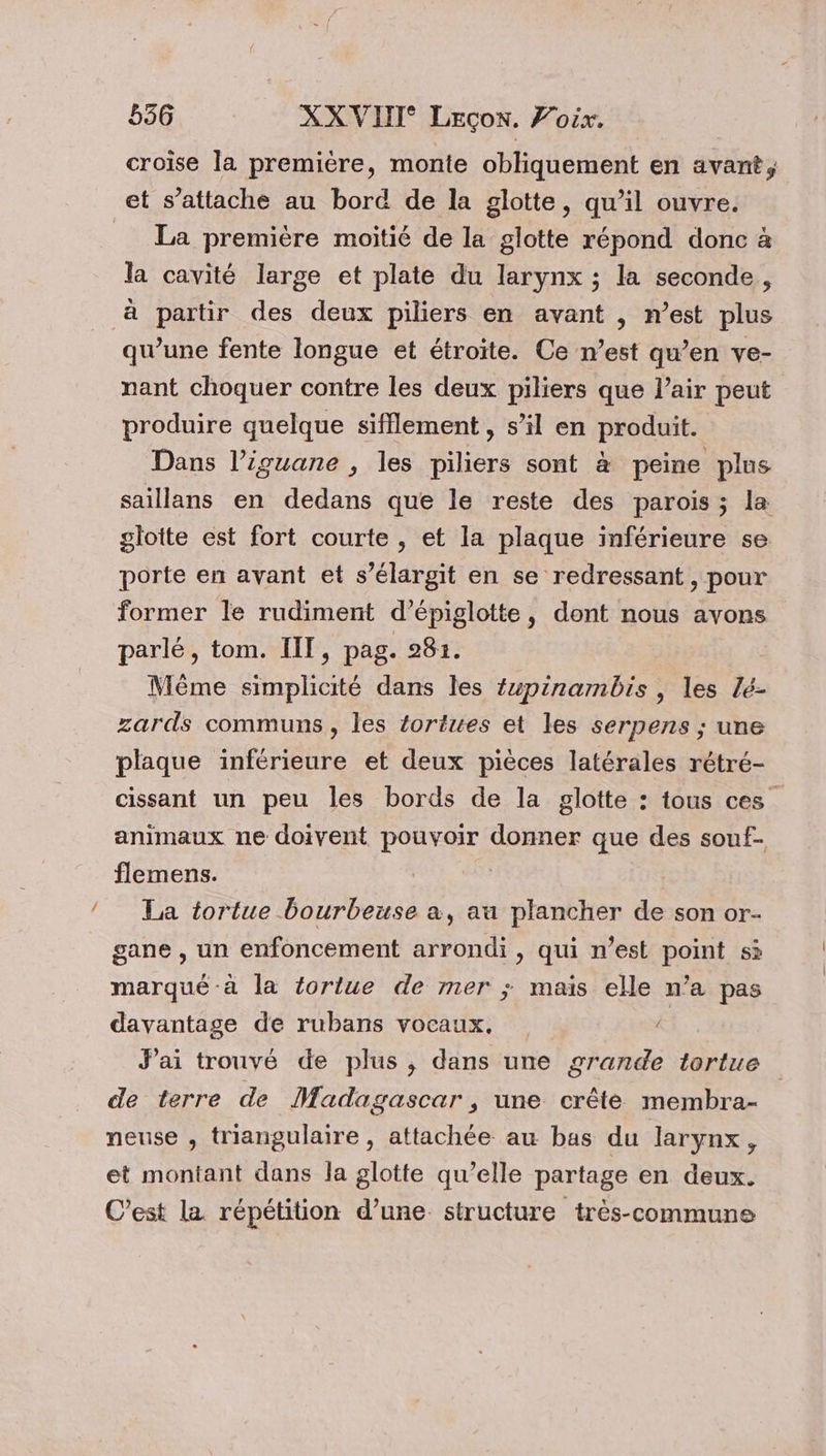 LL croise la première, monte obliquement en avant, La première moitié de la glotte répond donc à la cavité large et plate du larynx ; la seconde, à partir des deux piliers en avant , n’est plus qu’une fente longue et étroite. Ce n’est qu’en ve- nant choquer contre les deux piliers que l'air peut produire quelque sifflement, s’il en produit. Dans l’iguane , les piliers sont à peine plus saillans en dedans que le reste des parois; la glotte est fort courte, et la plaque inférieure se. porte en avant et s’élargit en se redressant, pour former le rudiment d’épiglotte, dont nous avons Même simplicité dans les iuwpinambis , les lé- zards communs, les tortues et les serpens ; une plaque inférieure et deux pièces latérales rétré- cissant un peu les bords de la glotte : tous ces. animaux ne doivent pouvoir donner que des souf- flemens. | La tortue bourbeuse a, au plancher de son or- gane , un enfoncement arrondi, qui n’est point si marqué-à la tortue de mer ; mais elle n’a pas davantage de rubans vocaux, &amp; J'ai trouvé de plus, dans une grande tortue de terre de Madagascar, une crête membra- neuse , triangulaire, attachée au bas du larynx ; et montant dans la glotte qu’elle partage en deux. C’est la répétition d’une. structure très-commune