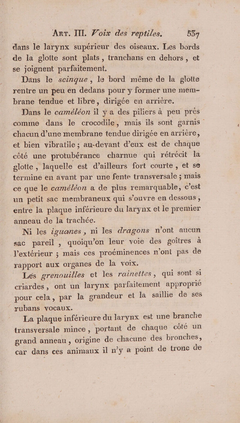 dans le larynx supérieur des oiseaux. Les bords de la gloite sont plats, tranchans en dehors, et se joignent parfaitement. Dans le scingue, le bord même de la glotte rentre un peu en dedans pour y former une mem- brane tendue et libre, dirigée en arrière. Dans le caméléon il y a des piliers à peu près comme dans le crocodile, mais ils sont garmis chacun d’une membrane tendue dirigée en arrière, et bien vibratile ; au-devant d’eux est de chaque côté une protubérance charnue qui rétrécit la glotte , laquelle est d’ailleurs fort courte , et se termine en avant par une fente transversale ; mais ce que le caméléon a de plus remarquable, c’est un petit sac membraneux qui s'ouvre en dessous , entre la plaque inférieure du larynx et le premier anneau de la trachée. | Ni les iguanes, ni les dragons n’ont aucun sac pareil , quoiqu’on leur voie des goîtres à l'extérieur ; mais ces proéminences n’ont pas de rapport aux organes de la voix. | Lés grenouilles et les rainettes, qui sont si criardes, ont un larynx parfaitement approprié pour cela, par la grandeur et la saillie de ses rubans vocaux. La plaque inférieure du larynx est une branche transversale mince, portant de chaque côté un grand anneau , origine de chacune des bronches, car dans ces animaux il n’y &amp; point de tronc de