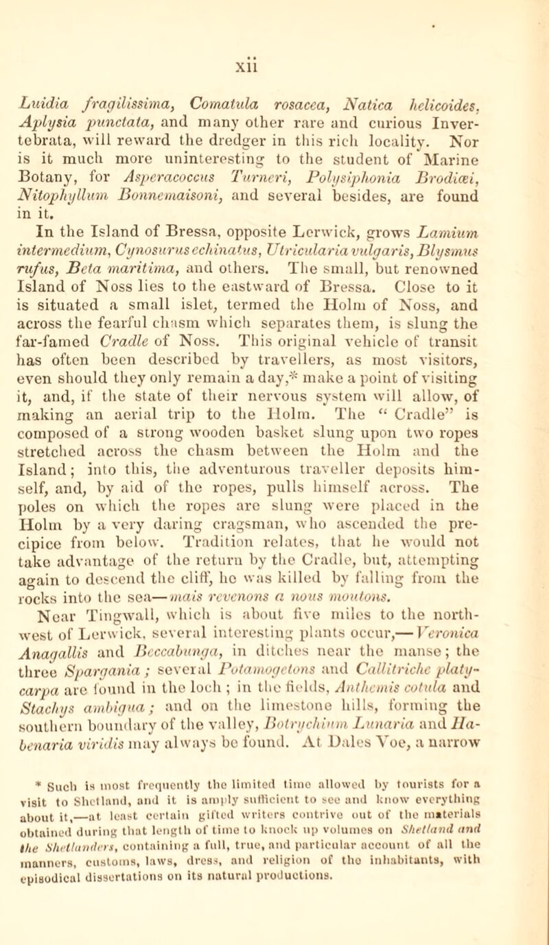 XU Luidia fragilissima, Cornatida rosacea, Natica helicoides, Aplysia punctata, and many other rare and curious Inver- tebrata, will reward the dredger in this rich locality. Nor is it much more uninteresting to the student of Marine Botany, for Asperacoccus Turneri, Polysiphonia Brodicei, NitophyUum Bonnemaisoni, and several besides, are found in it. In the Island of Bressa, opposite Lerwick, grows Laminin intermedium., Cynosurus echinatus, Utricularia vulgaris, Blysmus rufus, Beta maritima, and others. The small, but renowned Island of Noss lies to the eastward of Bressa. Close to it is situated a small islet, termed the Holm of Noss, and across the fearful chasm which separates them, is slung the far-famed Cradle of Noss. This original vehicle of transit has often been described by travellers, as most visitors, even should they only remain a day,* make a point of visiting it, and, if the state of their nervous system will allow, of making an aerial trip to the Holm. The “ Cradle” is composed of a strong wooden basket slung upon two ropes stretched across the chasm between the Holm and the Island; into this, the adventurous traveller deposits him- self, and, by aid of the ropes, pulls himself across. The poles on which the ropes are slung were placed in the Holm by a very daring cragsman, who ascended the pre- cipice from below. Tradition relates, that he would not take advantage of the return by the Cradle, but, attempting again to descend the cliff, ho was killed by falling from the rocks into the sea—mais revenons a nous moutons. Near Tingwall, which is about five miles to the north- west of Lerwick, several interesting plants occur,— Veronica Anaqallis and Bcccabunga, in ditches near the manse; the three Spargania ; several Potamogetons and Callitriche platy- carpa are found in the loch ; in the fields, Anthemis cotula and Stachys ambigua; and on the limestone hills, forming the southern boundary of the valley, Botrychinm Lunaria and Ha- benaria viridis may always be found. At Dales Yoe, a narrow * Such is most frequently the limited time allowed by tourists for a visit to Shetland, and it is amply sufficient to see and know everything about it, at least certain gifted writers contrive out of the materials obtained during that length of time to knock up volumes on Shetland and the Shetlanders, containing a full, true, and particular account of all the manners, customs, laws, dress, and religion of the inhabitants, with episodical dissertations on its natural productions.