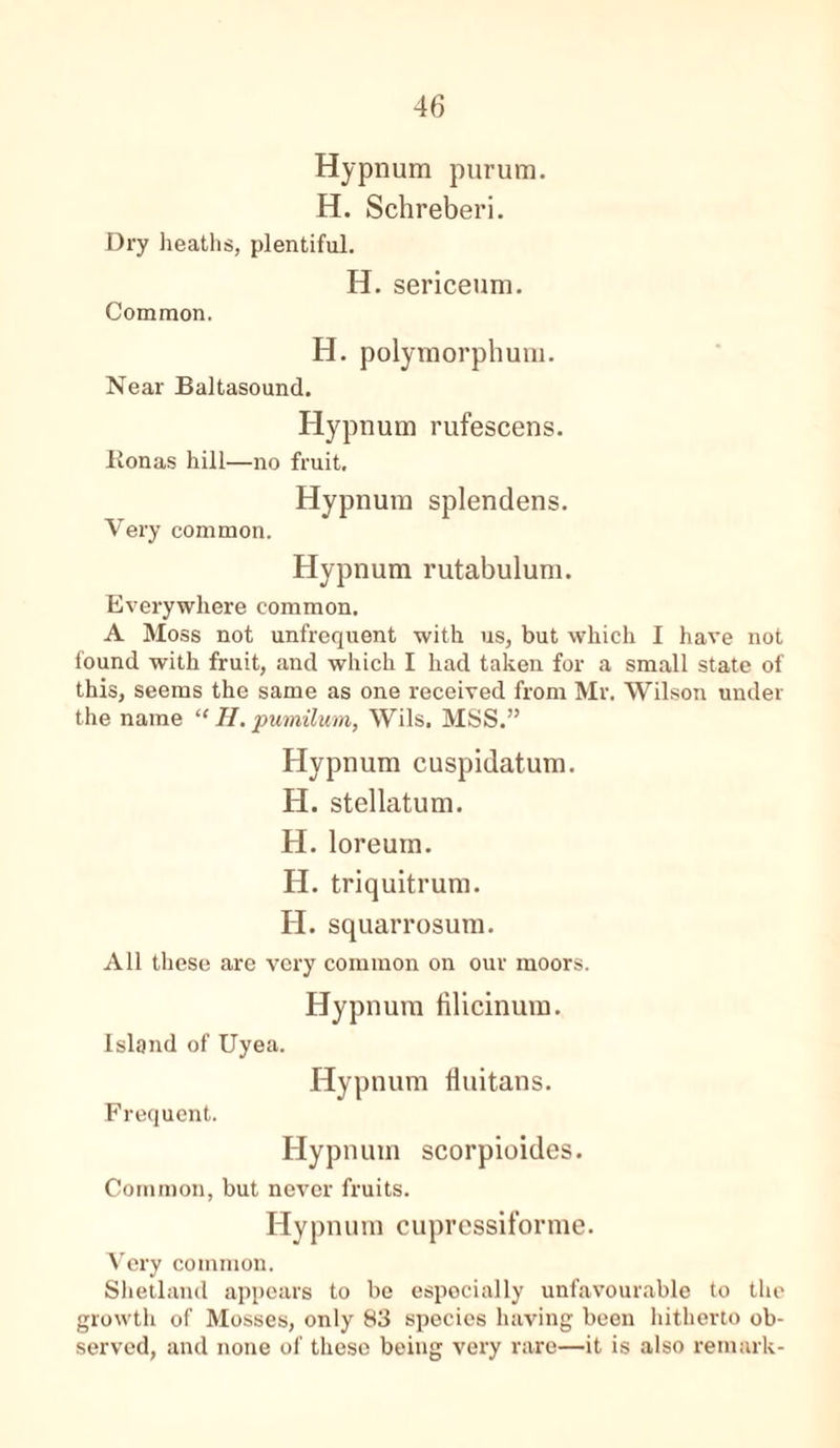 Hypnum purum. H. Schreberi. Dry heaths, plentiful. H. sericeum. Common. H. polyraorphum. Near Baltasound. Hypnum rufescens. Ilonas hill—no fruit, Hypnum splendens. Very common. Hypnum rutabulum. Everywhere common. A Moss not unfrequent with us, but which I have not found with fruit, and which I had taken for a small state of this, seems the same as one received from Mr. Wilson under the name “ II. pumilum, Wils. MSS.” Hypnum cuspidatum. H. stellatum. H. loreum. H. triquitrum. H. squarrosum. All these are very common on our moors. Hypnum filicinum. Island of Uyea. Hypnum fluitans. Frequent. Hypnum scorpioides. Common, but never fruits. Hypnum cupressiforme. Very common. Shetland appears to be especially unfavourable to the growth of Mosses, only 83 species having been hitherto ob- served, and none of these being very rare—it is also remark-