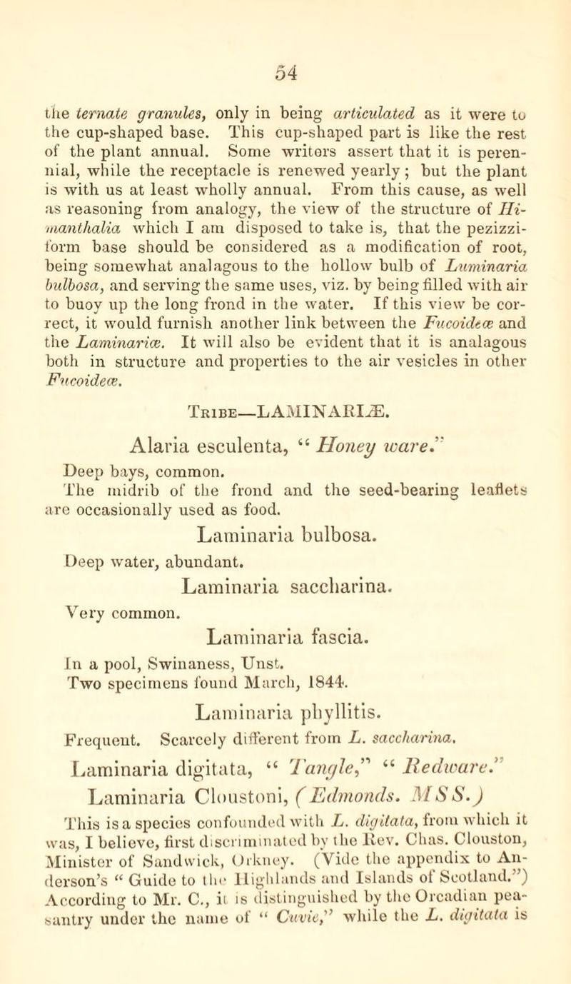 the ternate granules, only in being articulated as it were to the cup-shaped base. This cup-shaped part is like the rest of the plant annual. Some writers assert that it is peren- nial, while the receptacle is renewed yearly ; but the plant is with us at least wholly annual. From this cause, as well as reasoning from analogy, the view of the structure of Hi- manthalia which I am disposed to take is, that the pezizzi- form base should be considered as a modification of root, being somewhat analagous to the hollow bulb of Luminaria bulbosa, and serving the same uses, viz. by being filled with air to buoy up the long frond in the water. If this view be cor- rect, it would furnish another link between the Fucoidecc and the Laminarice. It will also be evident that it is analagous both in structure and properties to the air vesicles in other Fucoidecc. Tribe-laminaria. Alaria esculenta, “ Honey ware. ' Deep bays, common. The midrib of the frond and the seed-bearing leaflets are occasionally used as food. Laminaria bulbosa. Deep water, abundant. Laminaria saccharina. Very common. Laminaria fascia. In a pool, Swinaness, Unst. Two specimens found March, 1844. Laminaria pliyllitis. Frequent. Scarcely different from L. saccharina. Laminaria digitata, “ Tangle“ Redware.' Laminaria Cloustoni, (Edmonds. MSS.) This is a species confounded with L. digitata, from which it was, I believe, first discriminated by the liev. Chas. Clouston, Minister of Sandwick, Orkney. (Vide the appendix to An- derson’s “ Guide to the Highlands and Islands ot Scotland. ) According to Mr. C., it is distinguished by the Orcadian pea- santry under the name of “ Cuvie,'’ while the L. digitata is