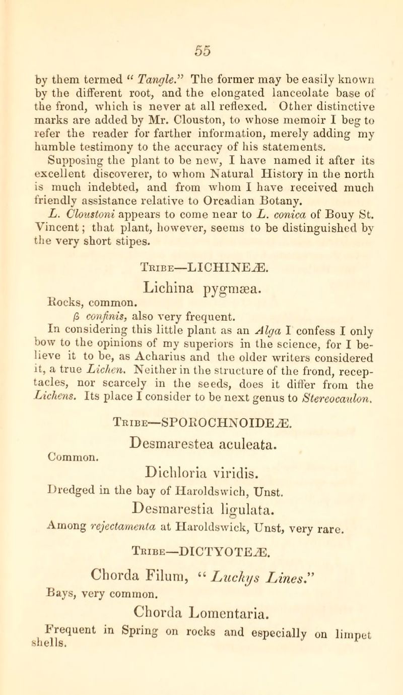 by them termed “ TangleThe former may be easily known by the different root, and the elongated lanceolate base of the frond, which is never at all reflexed. Other distinctive marks are added by Mr. Clouston, to whose memoir I beg to refer the reader for farther information, merely adding my humble testimony to the accuracy of his statements. Supposing the plant to be new, I have named it after its excellent discoverer, to whom Natural History in the north is much indebted, and from whom I have received much friendly assistance relative to Orcadian Botany, L. Cloustoni appears to come near to L. conica of Bouy St. Vincent; that plant, however, seems to be distinguished by the very short stipes. Tribe—LICHINE^E. Lichina pygmaea. Bocks, common. /3 conjinis, also very frequent. In considering this little plant as an Alga I confess I only bow to the opinions of my superiors in the science, for I be- lieve it to be, as Acharius and the older writers considered it, a true Lichen, Neither in the structure of the frond, recep- tacles, nor scarcely in the seeds, does it differ from the Lichens. Its place I consider to be next genus to Stereocaulon. Tribe—SPOBOCHNOIDEA3. Desmarestea aculeata. Common. Dichloria viridis. Dredged in the bay of Haroldswich, Unst. Desmarestia ligulata. Among rejectamenta at Haroldswick, Unst, very rare. Tribe—DICTYOTEiE. Chorda Filurn, “ Lackys Lines. Bays, very common. Chorda Lomentaria. Frequent in Spring on rocks and especially on limpet slid is.