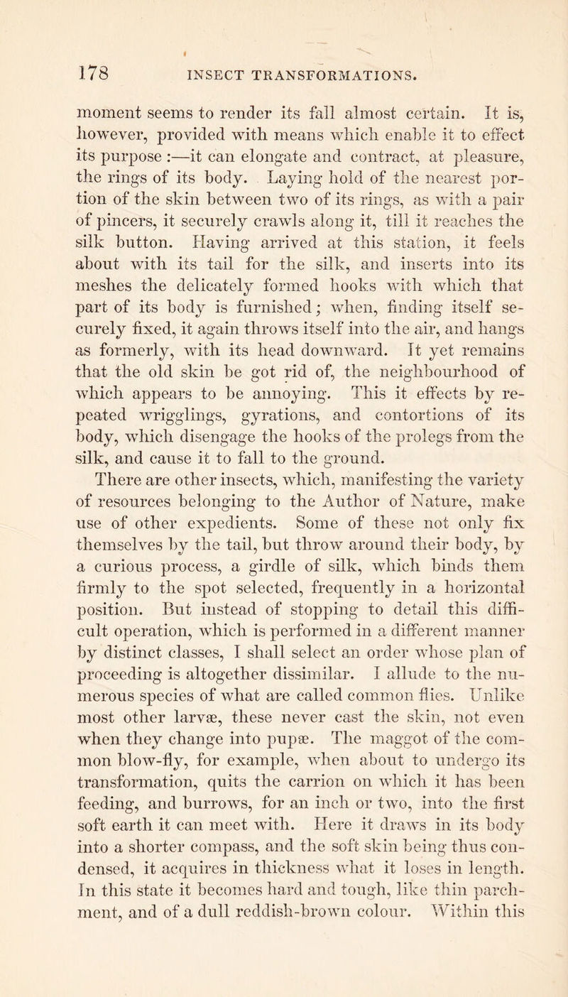 moment seems to render its fall almost certain. It is, however, provided with means which enable it to effect its purpose :—it can elongate and contract, at pleasure, the rings of its body. Laying hold of the nearest por- tion of the skin between two of its rings, as with a pair of pincers, it securely crawls along it, till It reaches the silk button. Having arrived at this station, it feels about with its tail for the silk, and inserts into its meshes the delicately formed hooks with which that part of its body is furnished; when, finding itself se- curely fixed, it again throws itself into the air, and hangs as formerly, with its head downward. It yet remains that the old skin be got rid of, the neighbourhood of which appears to be annoying. This it effects by re- flated wrigglings, gyrations, and contortions of its body, which disengage the hooks of the prolegs from the silk, and cause it to fall to the ground. There are other insects, which, manifesting the variety of resources belonging to the Author of Nature, make use of other expedients. Some of these not only fix themselves by the tail, but throw around their body, by a curious process, a girdle of silk, which binds them firmly to the spot selected, frequently in a horizontal position. But instead of stopping to detail this diffi- cult operation, which is performed in a different manner by distinct classes, I shall select an order whose plan of proceeding is altogether dissimilar. I allude to the nu- merous species of what are called common flies. Unlike most other larvae, these never cast the skin, not even when they change into pupae. The maggot of the com- mon blow-fly, for example, when about to undergo its transformation, quits the carrion on which it has been feeding, and burrows, for an inch or two, into the first soft earth it can meet with. Here it draws in its body into a shorter compass, and the soft skin being thus con- densed, it acquires in thickness what it loses in length. In this state it becomes hard and tough, like thin parch- ment, and of a dull reddish-brown colour. Within this