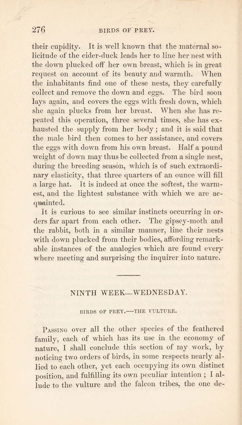 tlieir cupidity. It is well known that the maternal so- licitude of the eider-duck leads her to line her nest with the down plucked off her own breast, which is in great request on account of its beauty and warmth. When the inhabitants hnd one of these nests, they carefully collect and remove the down and eggs. The bird soon lays again, and covers the eggs with fresh down, which she again plucks from her breast. When she has re- peated this operation, three several times, she has ex- hausted the supply from her body; and it is said that the male bird then comes to her assistance, and covers the eggs with down from his own breast. Half a pound weight of down may thus be collected from a single nest, during the breeding season, which is of such extraordi- nary elasticity, that three quarters of an ounce will fill a large hat. It is indeed at once the softest, the warm- est, and the lightest substance with which we are ac- quainted. It is curious to see similar instincts occurring in or- ders far apart from each other. The gipsey-moth and the rabbit, both in a similar manner, line their nests with down plucked from their bodies, affording remark- able instances of the analogies which are found every where meeting and surprising the inquirer into nature. NINTH WEEK—WEDNESDAY. BIRDS OF PREY. THE VULTURE. Passing over all the other species of the feathered family, each of which has its use in the economy of nature, I shall conclude this section of my work, by noticing two orders of birds, in some respects nearly al- lied to each other, yet each occupying its own distinct position, and fulfilling its own peculiar intention ; I al- lude to the vulture and the falcon tribes, the one de-