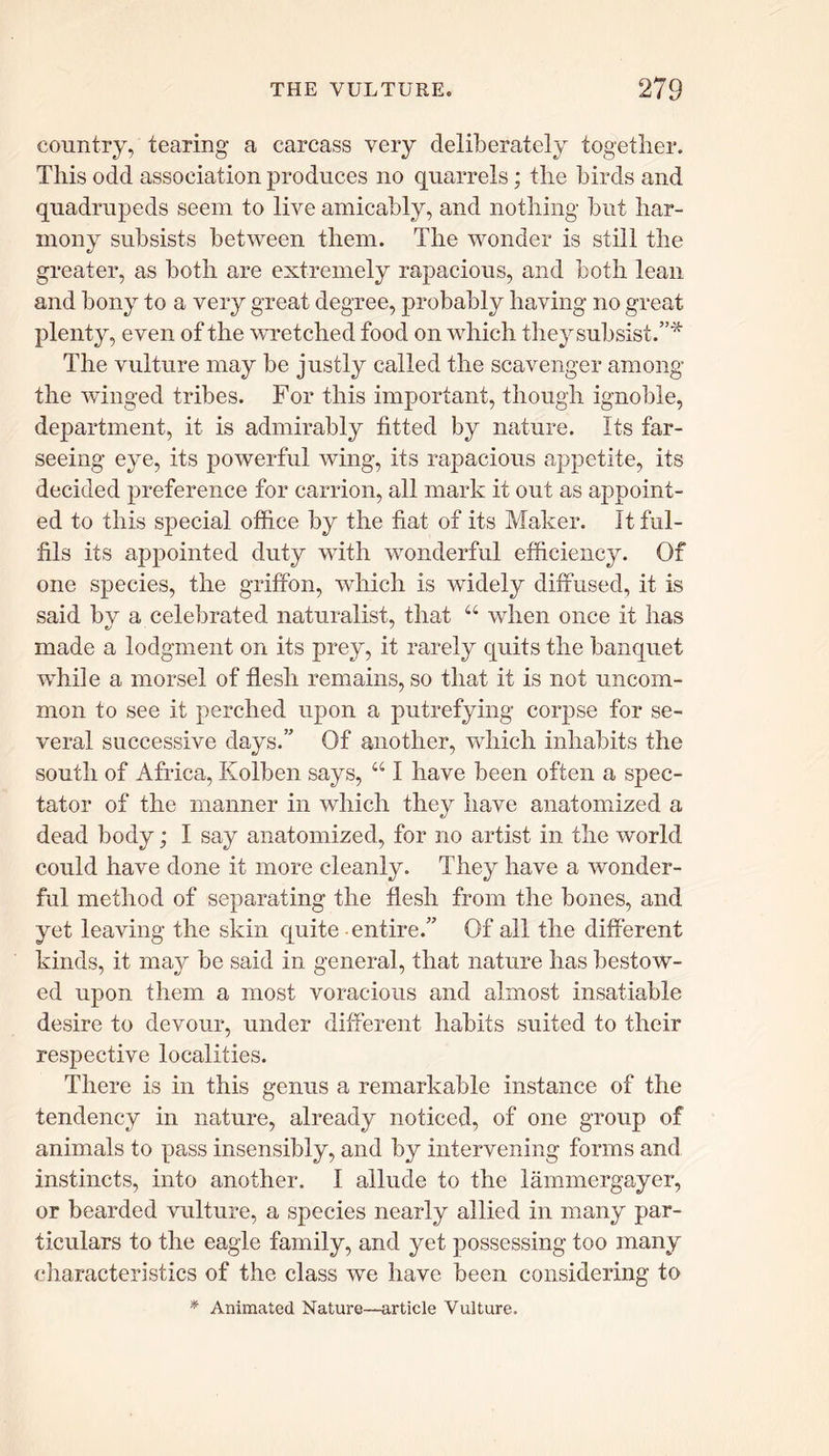 country, tearing a carcass very deliberately together. This odd association produces no quarrels; the birds and quadrupeds seem to live amicably, and nothing but har- mony subsists between them. The wonder is still the greater, as both are extremely rapacious, and both lean and bony to a very great degree, probably having no great plenty, even of the wretched food on which they subsist.”'* The vulture may be justly called the scavenger among the winged tribes. For this important, though ignoble, department, it is admirably fitted by nature. Its far- seeing eye, its powerful wing, its rapacious appetite, its decided preference for carrion, all mark it out as appoint- ed to this special office by the fiat of its Maker. It ful- fils its appointed duty with wonderful efficiency. Of one species, the griffon, which is widely diffused, it is said bv a celebrated naturalist, that “ when once it has made a lodgment on its prey, it rarely quits the banquet while a morsel of flesh remains, so that it is not uncom- mon to see it perched upon a putrefying corpse for se- veral successive days.” Of another, which inhabits the south of Africa, Kolben says, “ I have been often a spec- tator of the manner in which they have anatomized a dead body; I say anatomized, for no artist in the world could have done it more cleanly. They have a wonder- ful method of separating the flesh from the bones, and yet leaving the skin quite entire.” Of all the different kinds, it may be said in general, that nature has bestow- ed upon them a most voracious and almost insatiable desire to devour, under different habits suited to their respective localities. There is in this genus a remarkable instance of the tendency in nature, already noticed, of one group of animals to pass insensibly, and by intervening forms and instincts, into another. I allude to the lammergayer, or bearded vulture, a species nearly allied in many par- ticulars to the eagle family, and yet possessing too many characteristics of the class we have been considering to * Animated Nature—article Vulture.