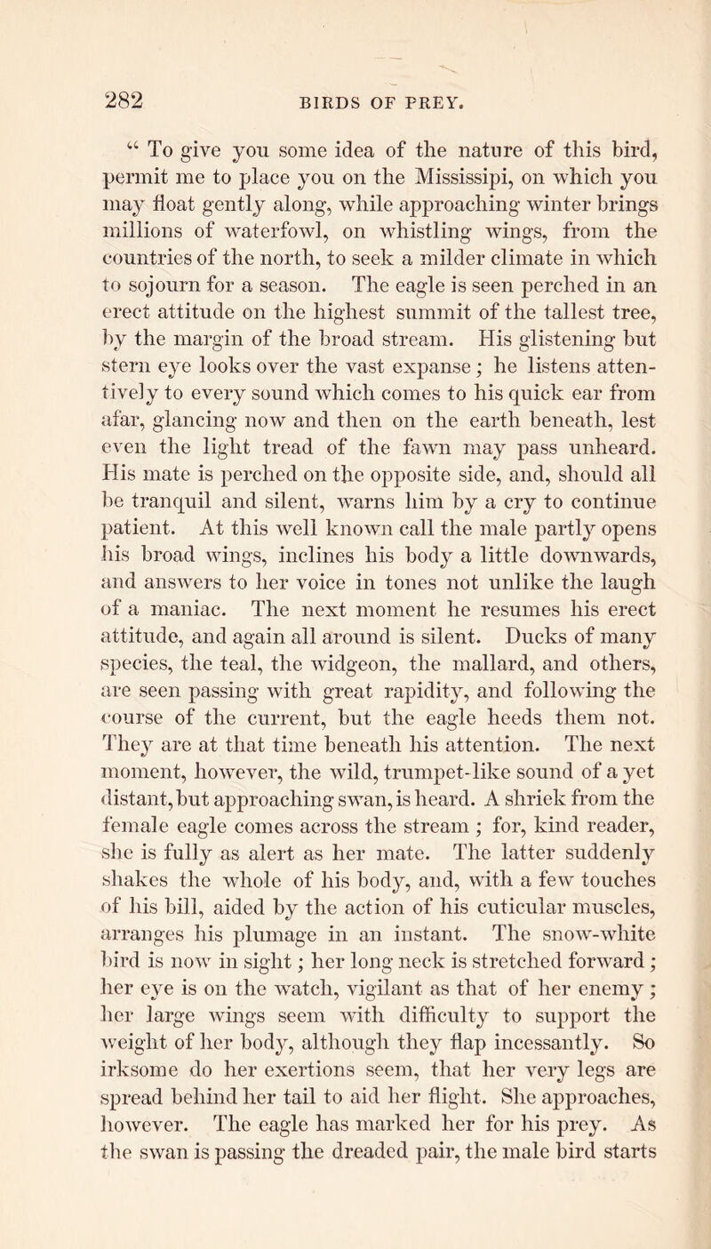 “ To give you some idea of the nature of this bird, permit me to place you on the Mississipi, on which you may float gently along, while approaching winter brings millions of waterfowl, on whistling wings, from the countries of the north, to seek a milder climate in which to sojourn for a season. The eagle is seen perched in an erect attitude on the highest summit of the tallest tree, by the margin of the broad stream. His glistening but stern eye looks over the vast expanse ; he listens atten- tively to every sound which comes to his quick ear from afar, glancing now and then on the earth beneath, lest even the light tread of the fawn may pass unheard. His mate is perched on the opposite side, and, should all be tranquil and silent, warns him by a cry to continue patient. At this well known call the male partly opens his broad wings, inclines his body a little downwards, and answers to her voice in tones not unlike the laugh of a maniac. The next moment he resumes his erect attitude, and again all around is silent. Ducks of many species, the teal, the widgeon, the mallard, and others, are seen passing with great rapidity, and following the course of the current, but the eagle heeds them not. They are at that time beneath his attention. The next moment, however, the wild, trumpet-like sound of a yet distant, but approaching swan, is heard. A shriek from the female eagle comes across the stream ; for, kind reader, she is fully as alert as her mate. The latter suddenly shakes the whole of his body, and, with a few touches of his bill, aided by the action of his cuticular muscles, arranges his plumage in an instant. The snow-white bird is now in sight; her long neck is stretched forward; her eye is on the watch, vigilant as that of her enemy; her large wings seem with difficulty to support the weight of her body, although they flap incessantly. So irksome do her exertions seem, that her very legs are spread behind her tail to aid her flight. She approaches, however. The eagle has marked her for his prey. As the swan is passing the dreaded pair, the male bird starts