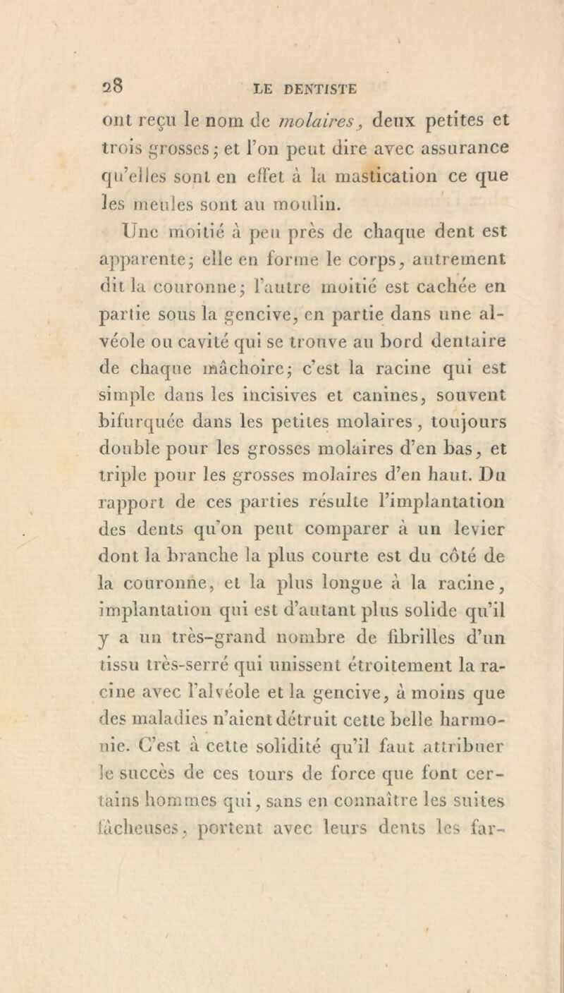 ont reçu le nom de molaires, deux petites et trois grosses; et Ton peut dire avec assurance qu’elles sont en effet à la mastication ce que les meules sont au moulin. Une moitié à peu près de chaque dent est apparente; elle en forme le corps, autrement dit la couronne; l’autre moitié est cachée en partie sous la gencive, en partie dans une al- véole ou cavité qui se trouve au bord dentaire de chaque mâchoire; c’est la racine qui est simple dans les incisives et canines, souvent bifurquée dans les petites molaires, toujours double pour les grosses molaires d’en bas, et triple pour les grosses molaires d’en haut. Du rapport de ces parties résulte l’implantation des dents qu'on peut comparer à un levier dont la branche la plus courte est du côté de la couronne, et la plus longue à la racine, implantation qui est d’autant plus solide qu’il y a un très-grand nombre de fibrilles d’un tissu très-serré qui unissent étroitement la ra- cine avec l'alvéole et la gencive, à moins que des maladies n’aient détruit cette belle harmo- nie. C’est à cette solidité qu’il faut attribuer le succès de ces tours de force que font cer- tains hommes qui, sans en connaître les suites fâcheuses, portent avec leurs dents les far-