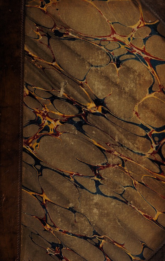 No text description is available for this image
